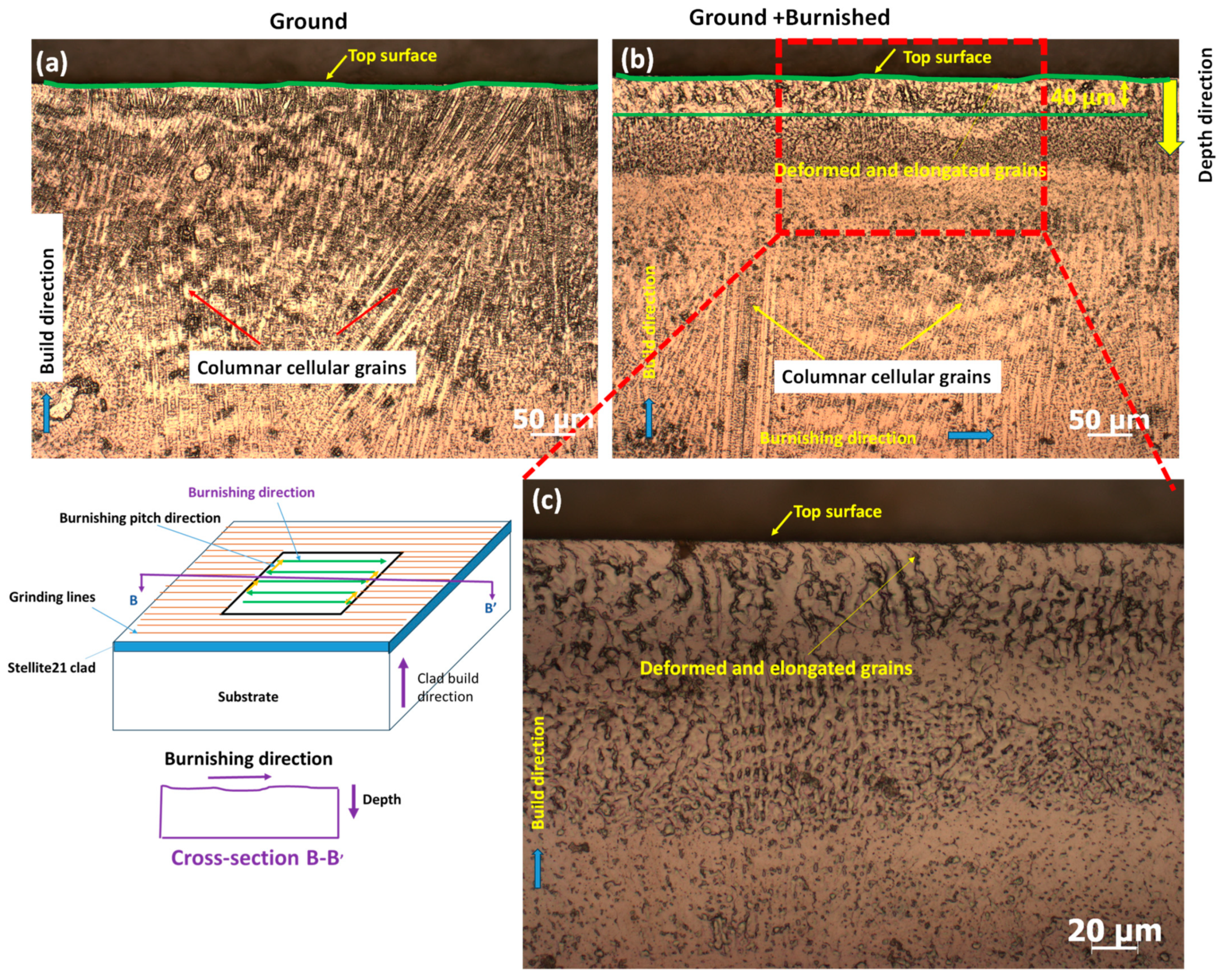 Materials 18 02971 g009