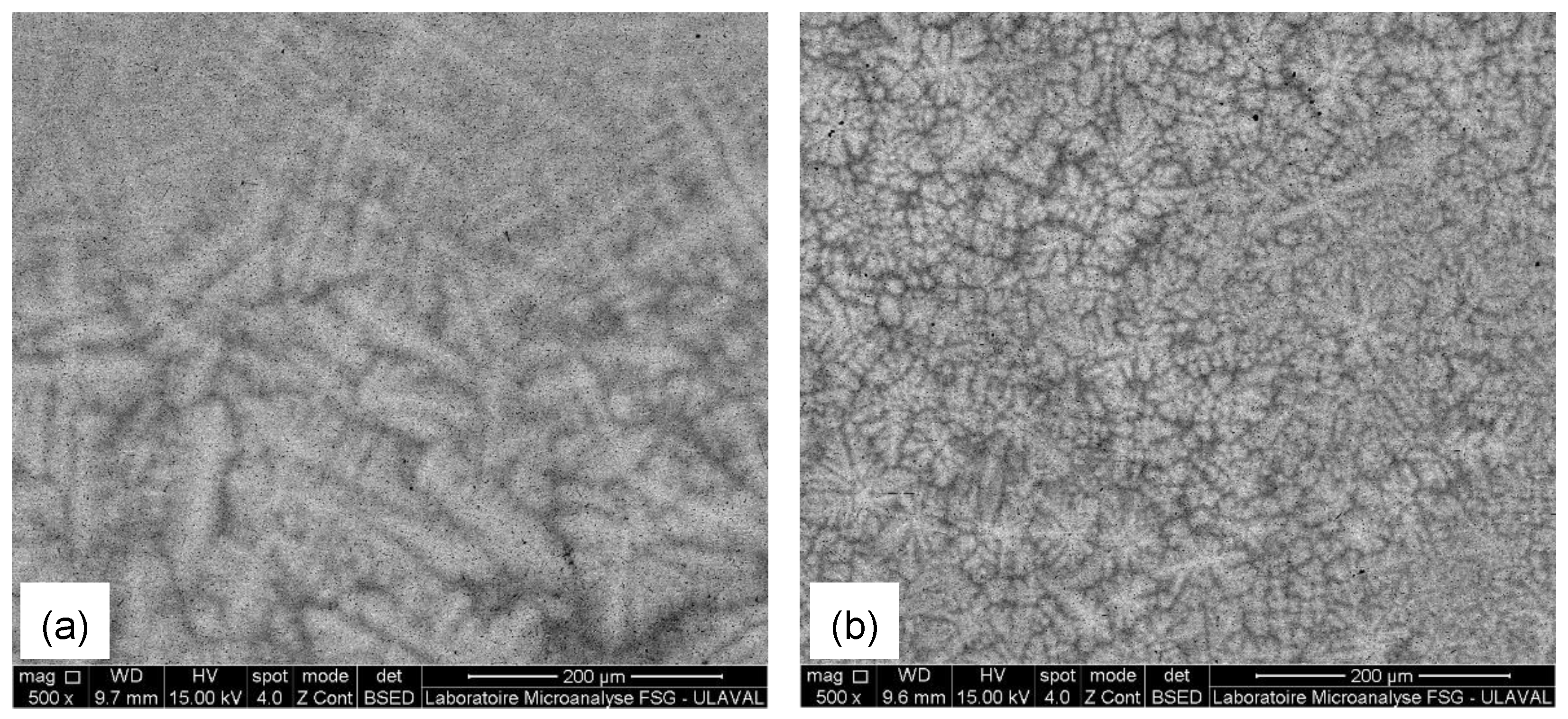 Materials 18 02973 g001