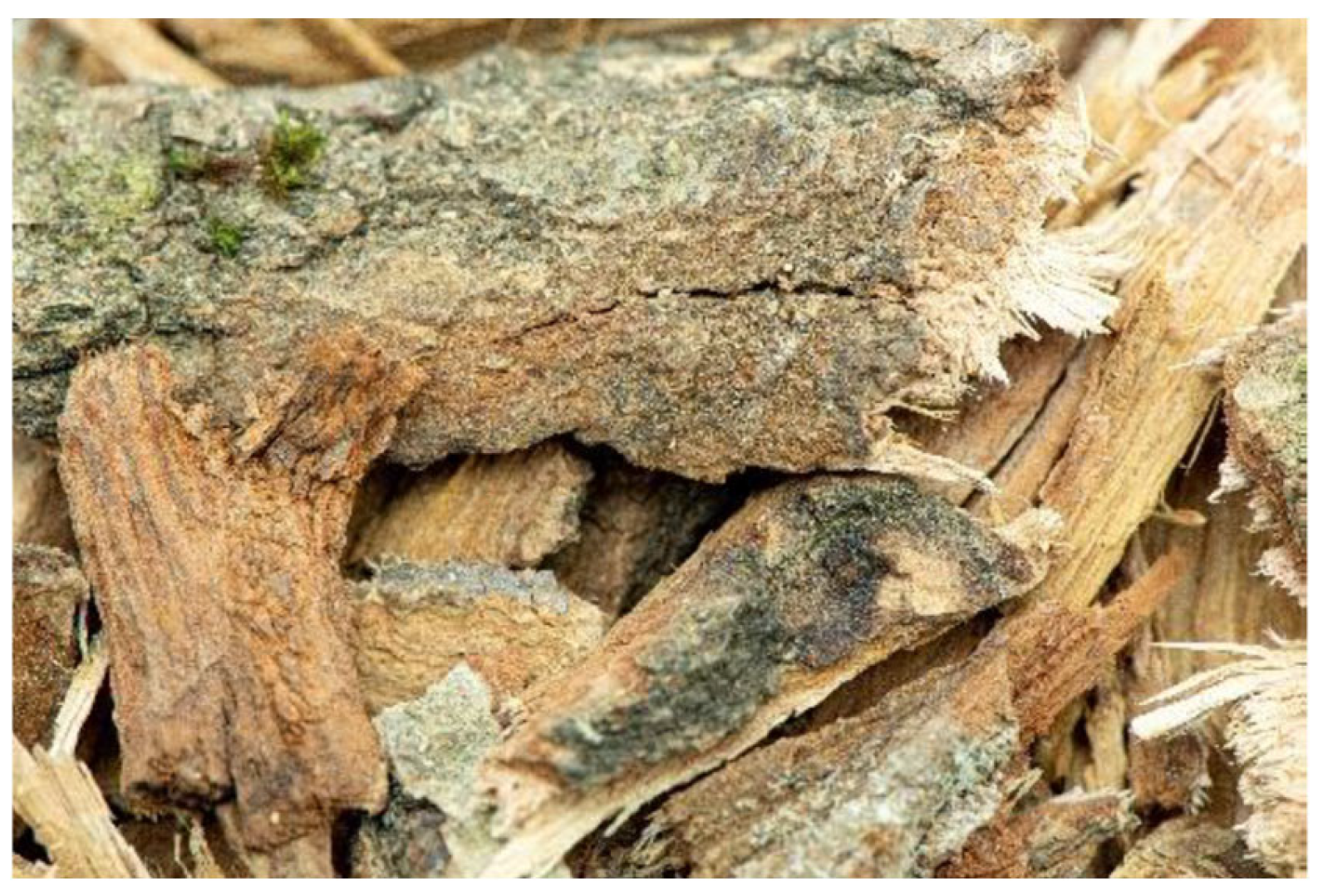 Materials 18 02984 g001