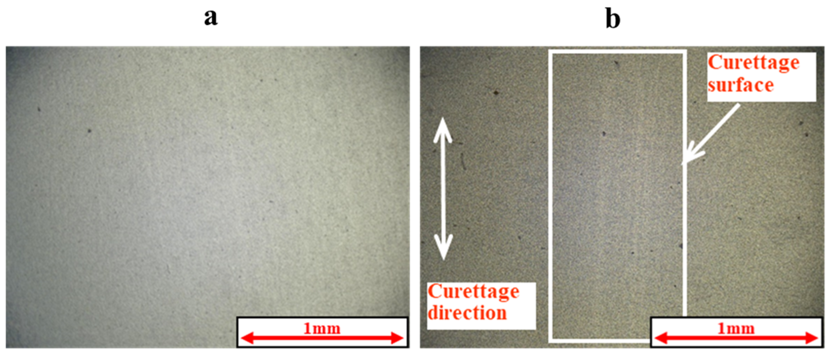 Materials 18 02992 g007