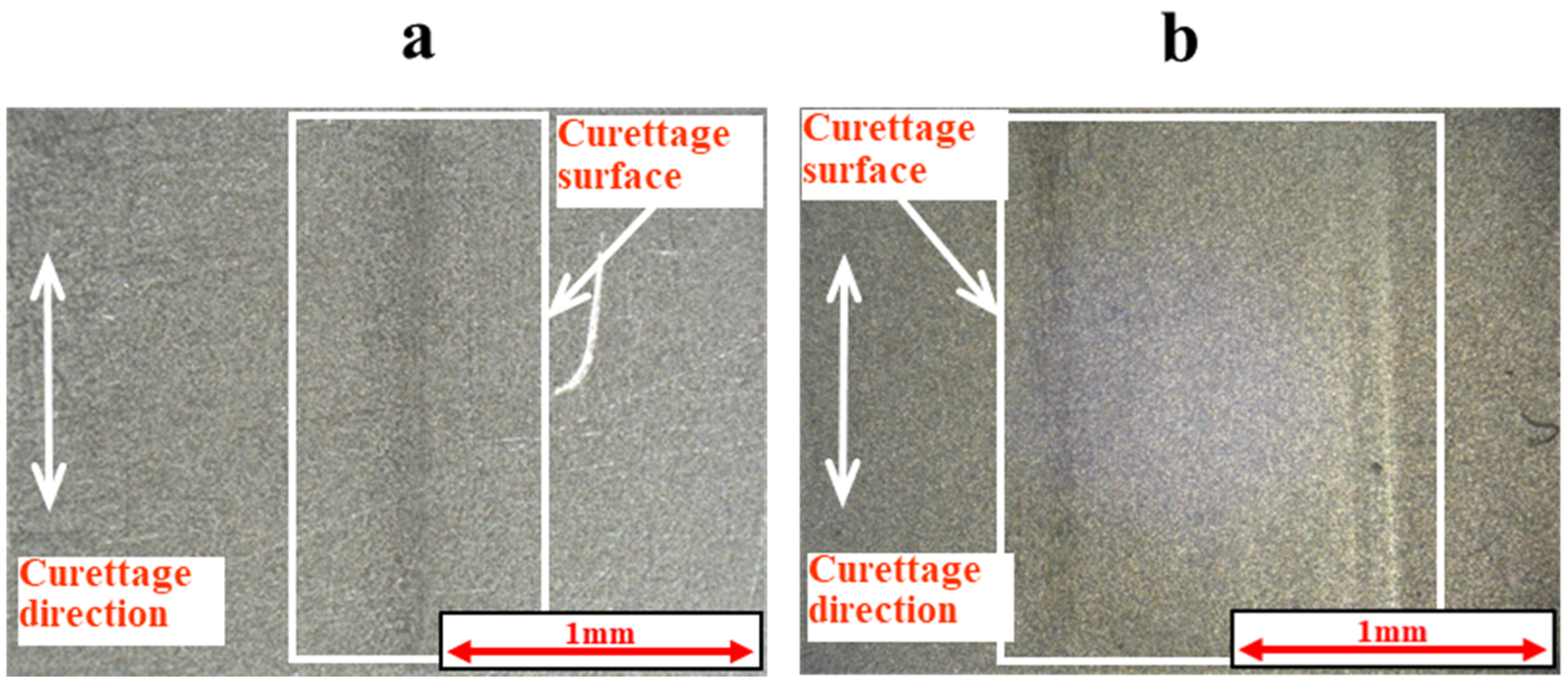 Materials 18 02992 g012