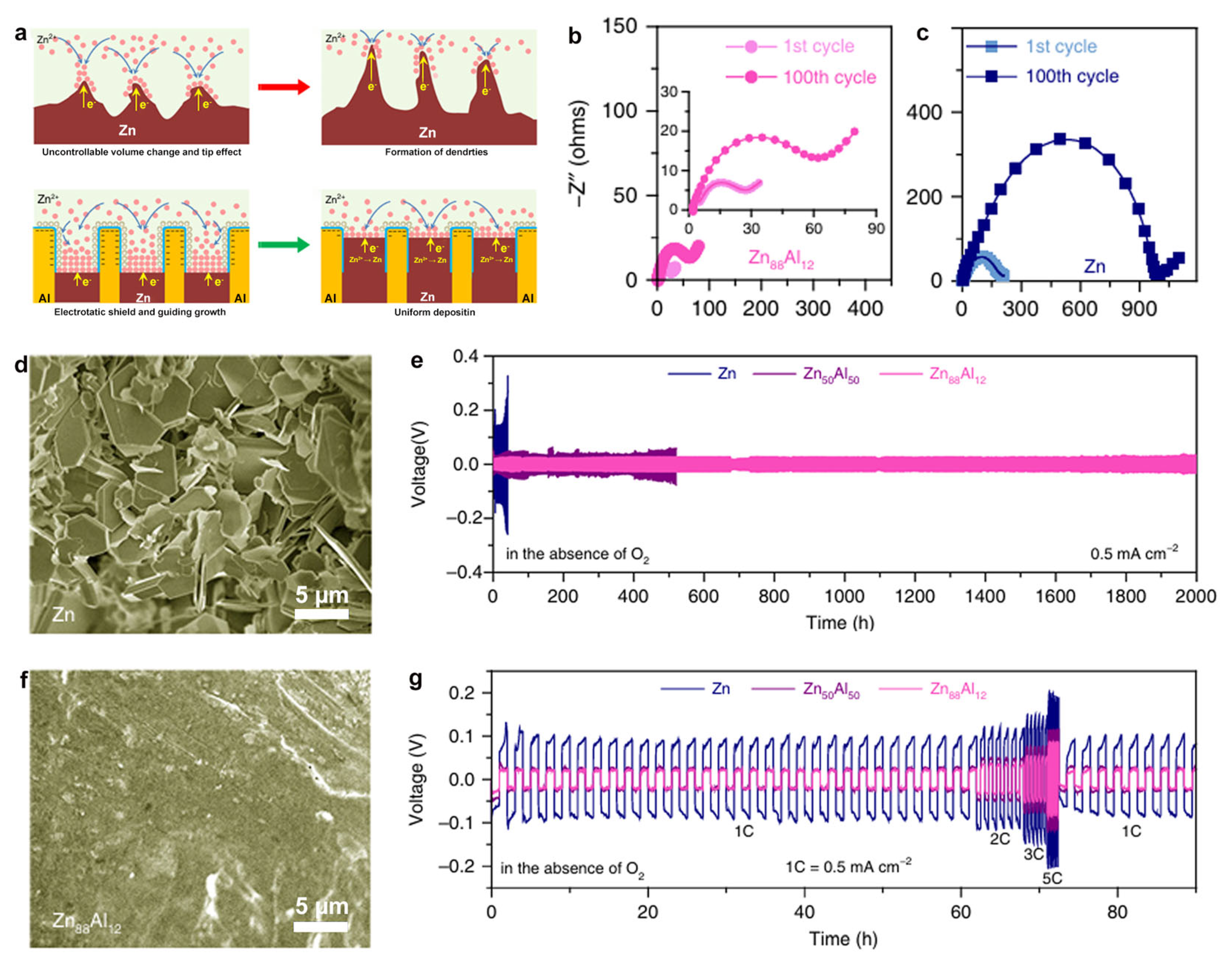 Materials 18 02997 g008