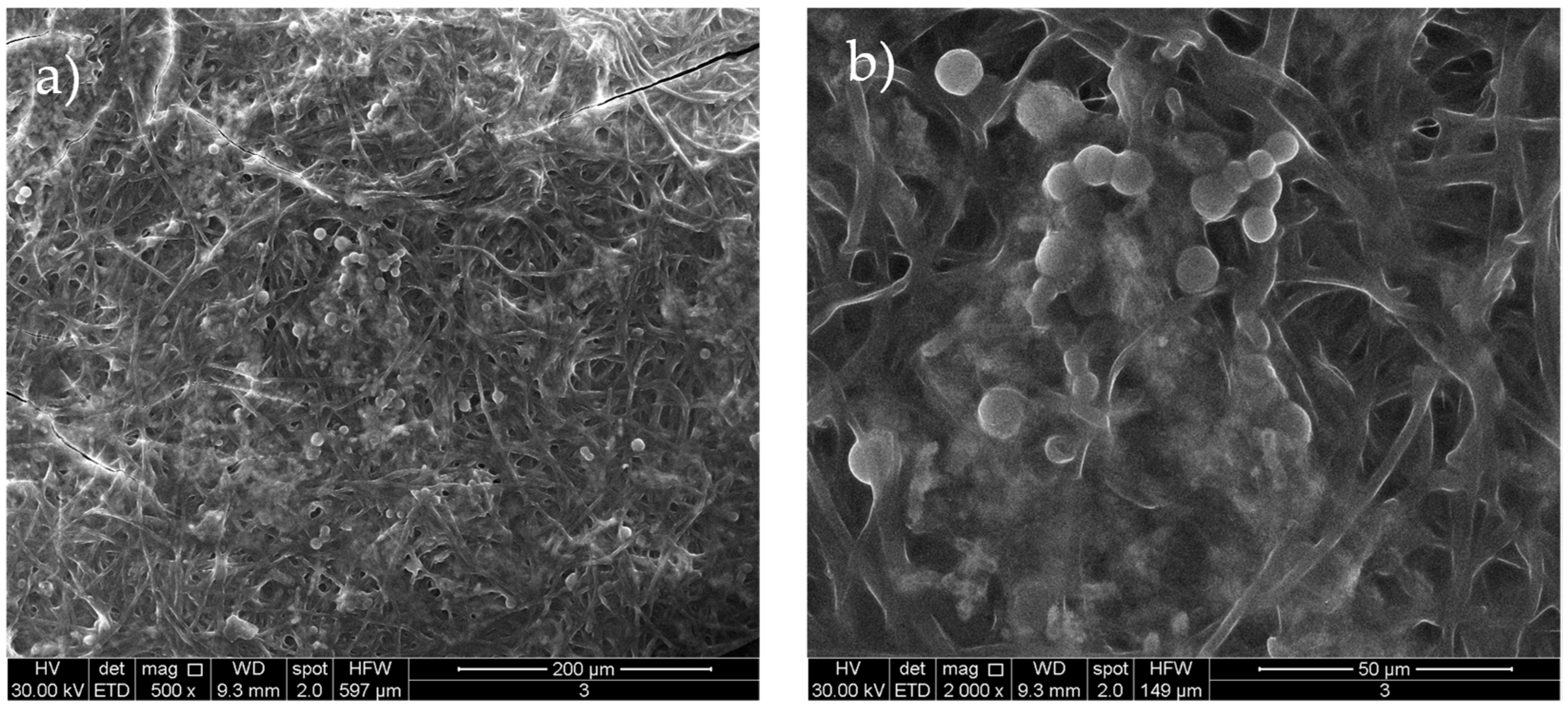 Materials 18 03003 g006