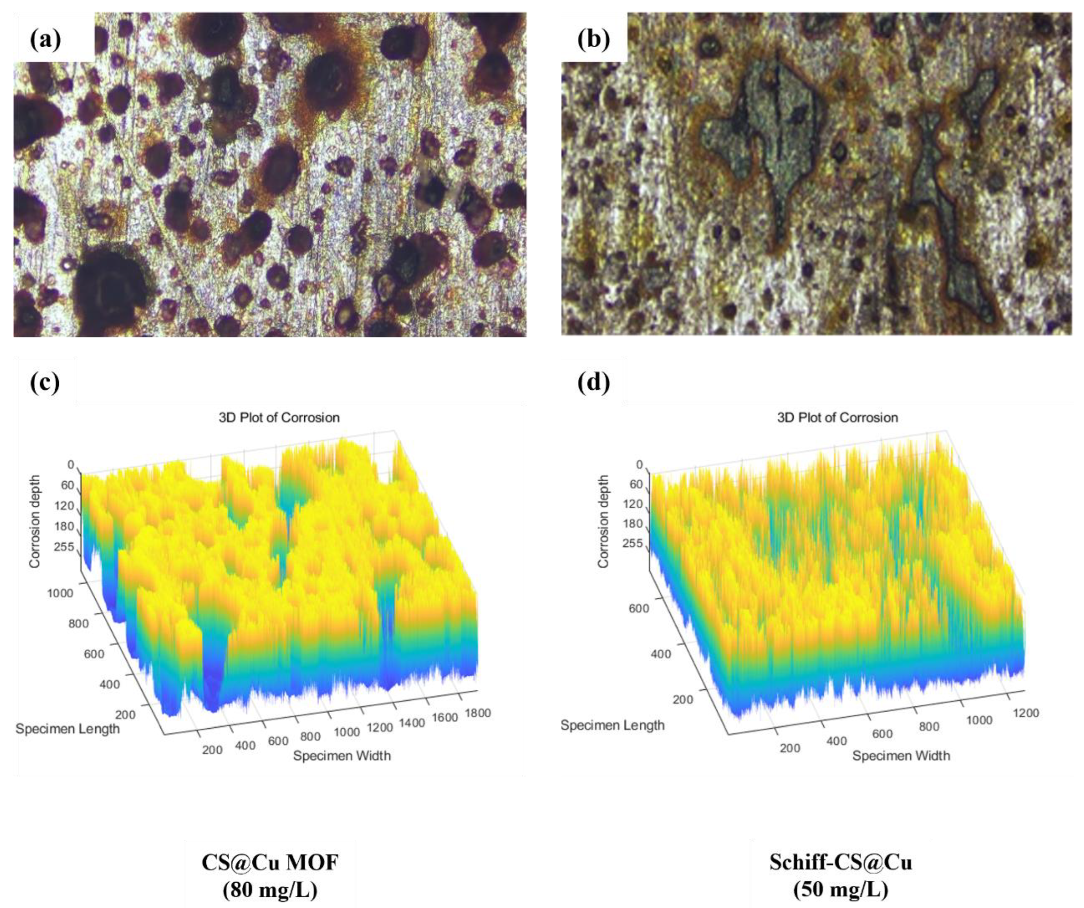 Materials 18 03031 g004