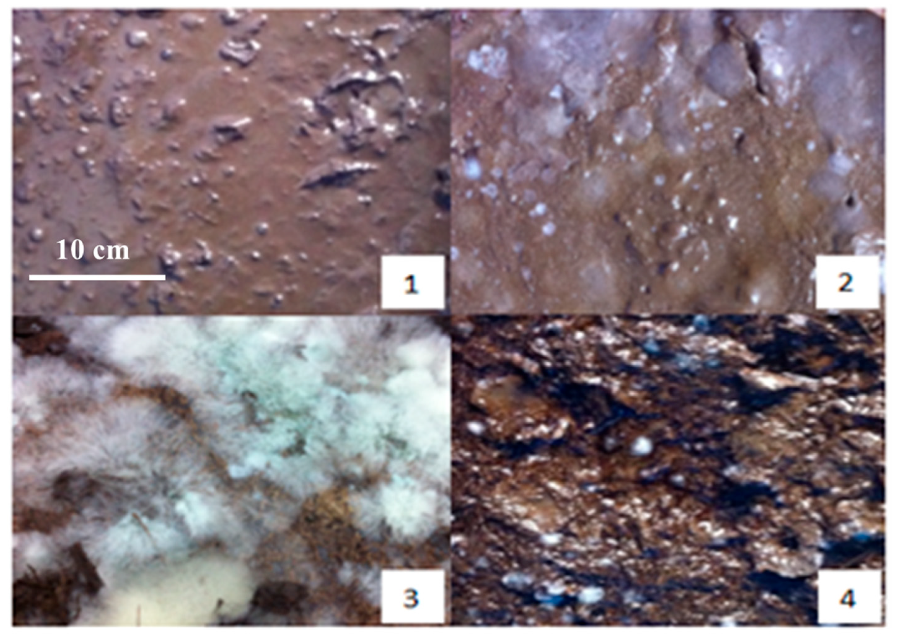 Materials 18 03045 g002