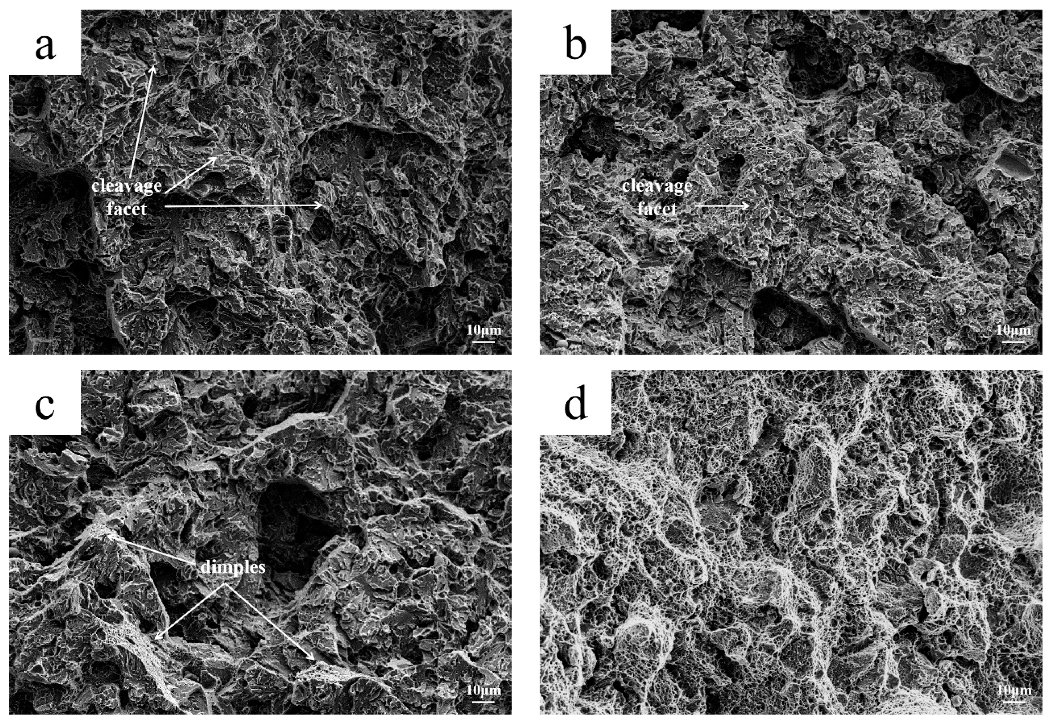 Materials 18 03052 g008 Materials 18 03052 g008