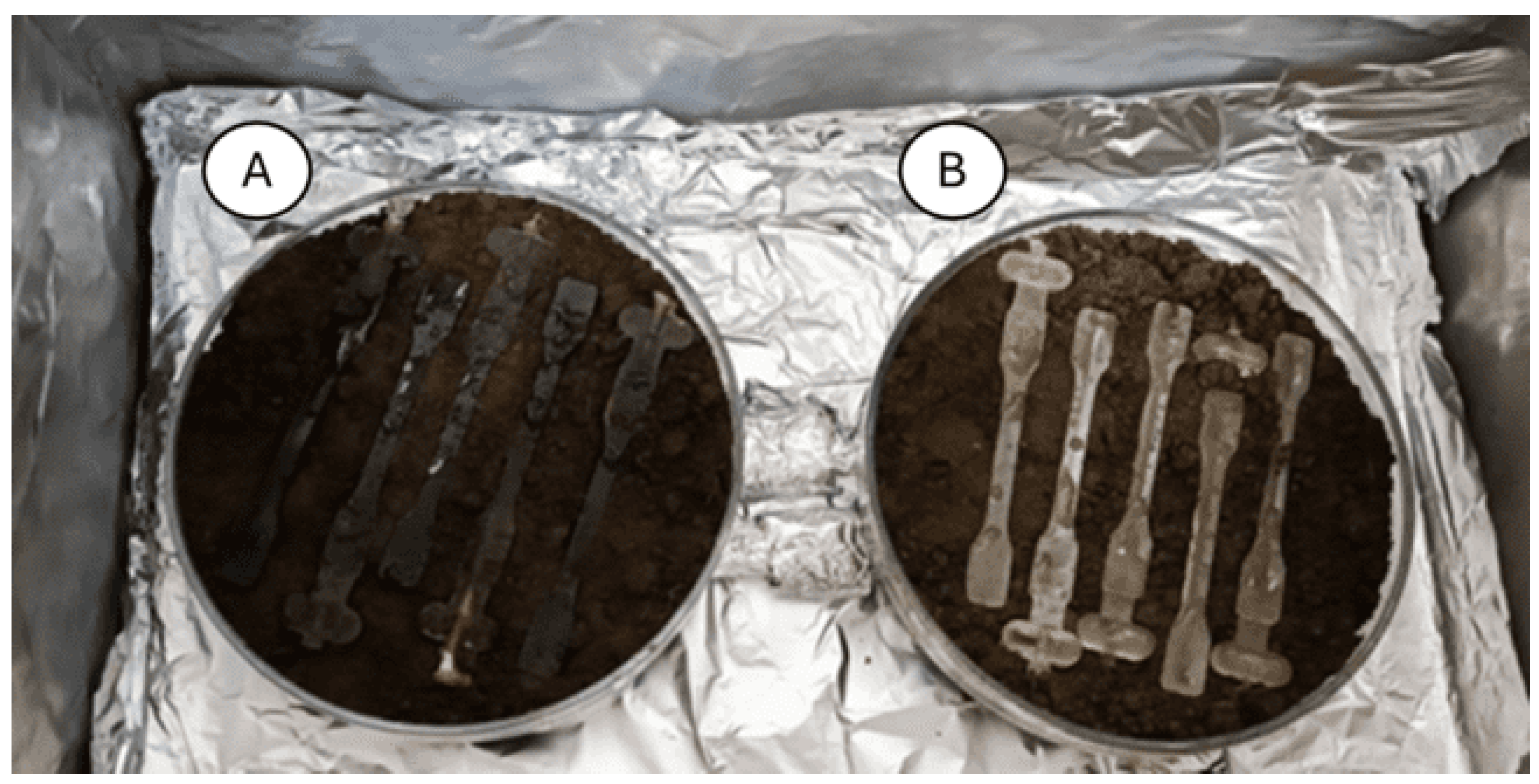 Materials 18 03056 g002