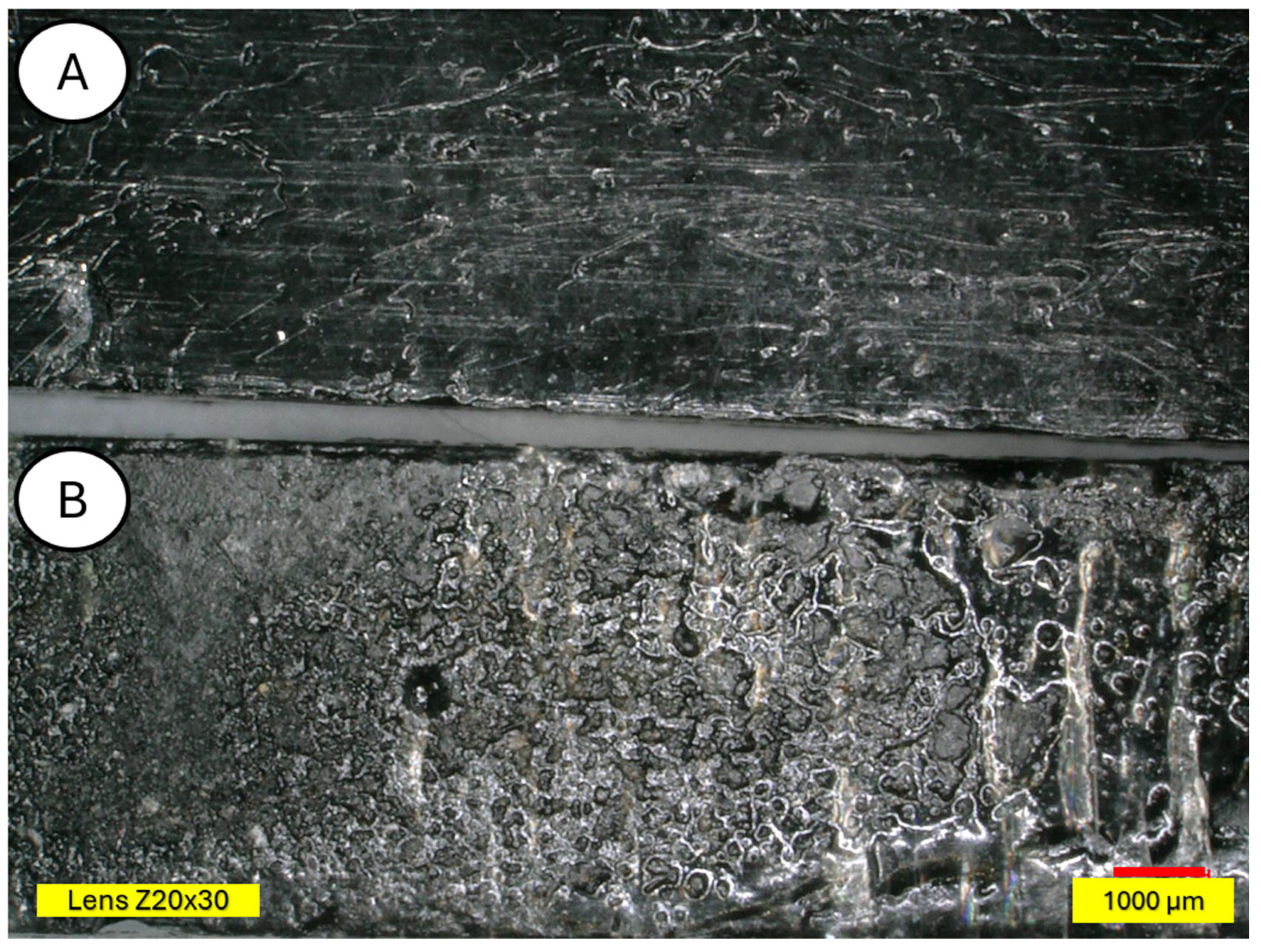 Materials 18 03056 g019