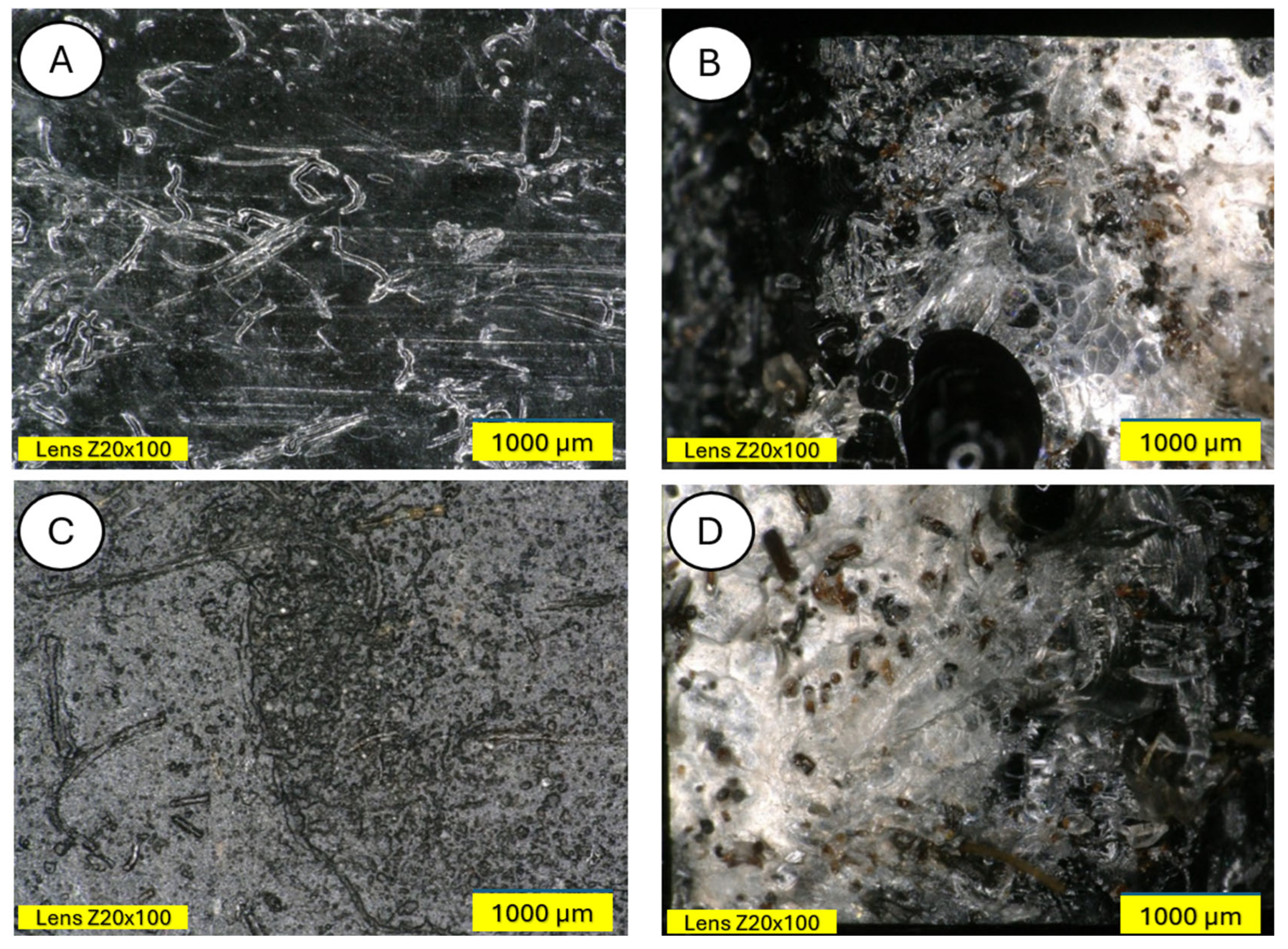 Materials 18 03056 g020