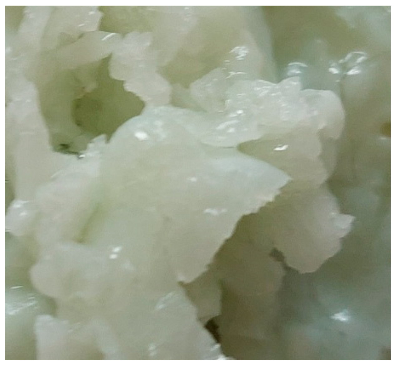 Materials 18 03059 g001