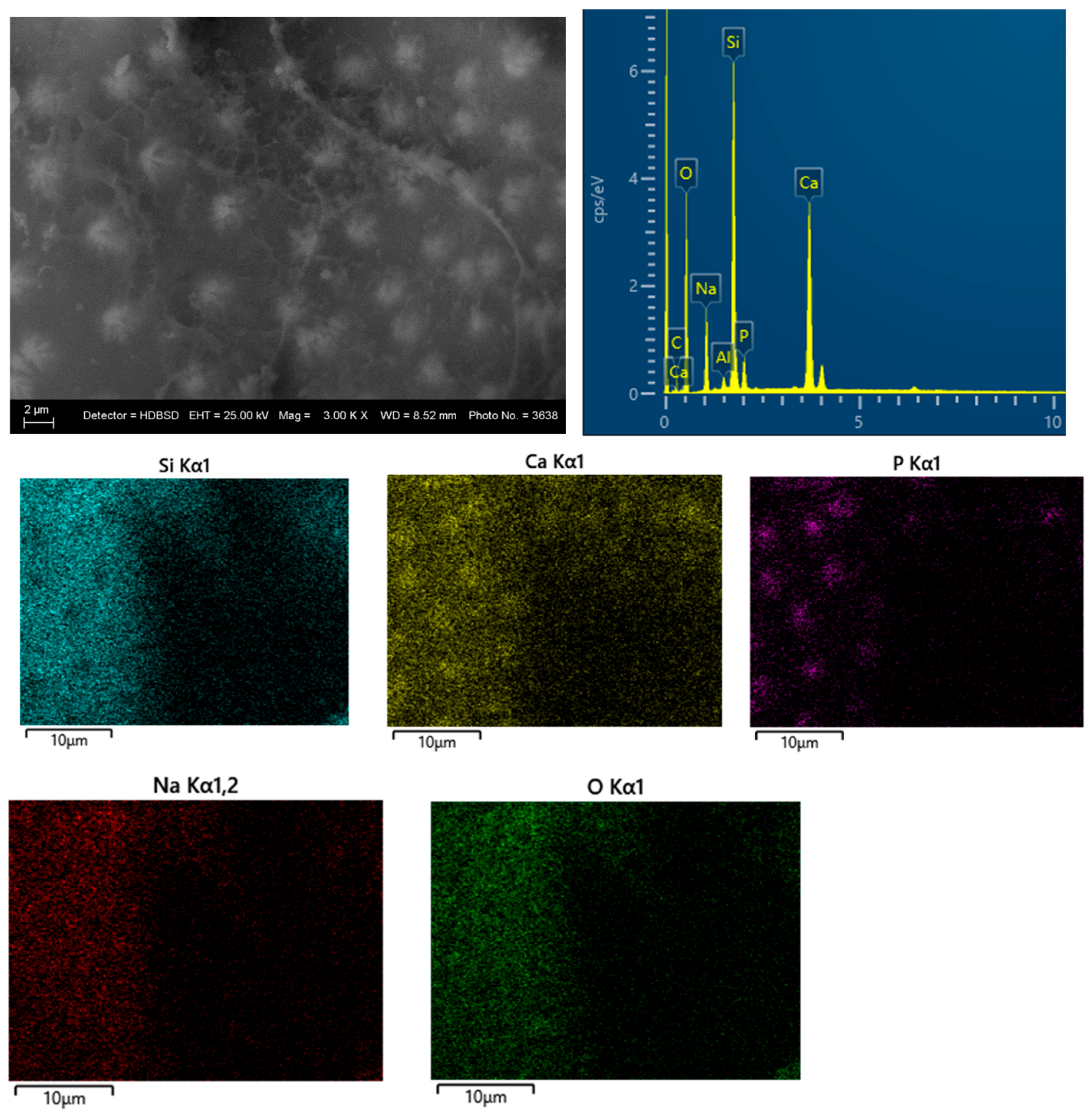 Materials 18 03059 g008