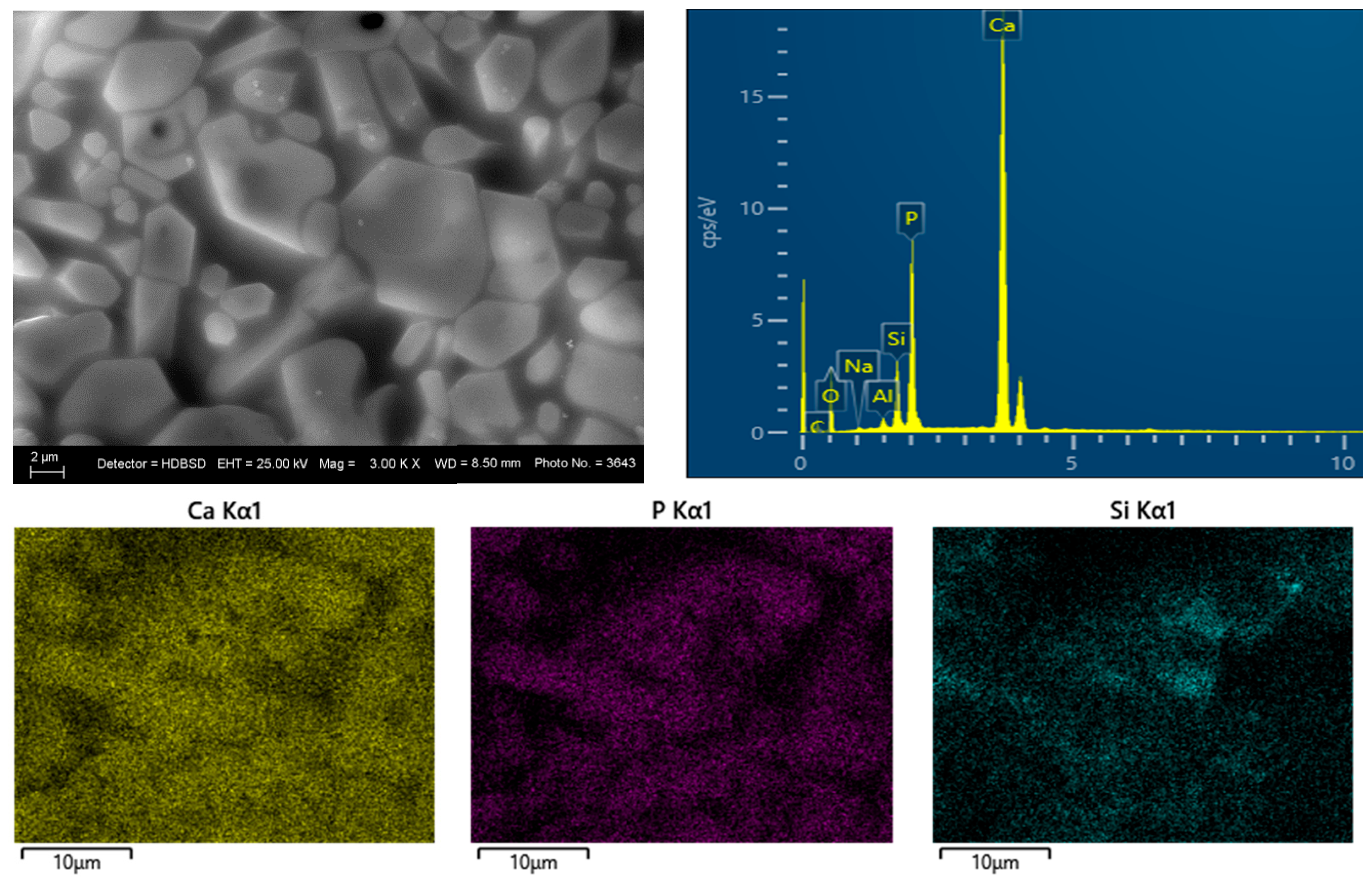 Materials 18 03059 g009a