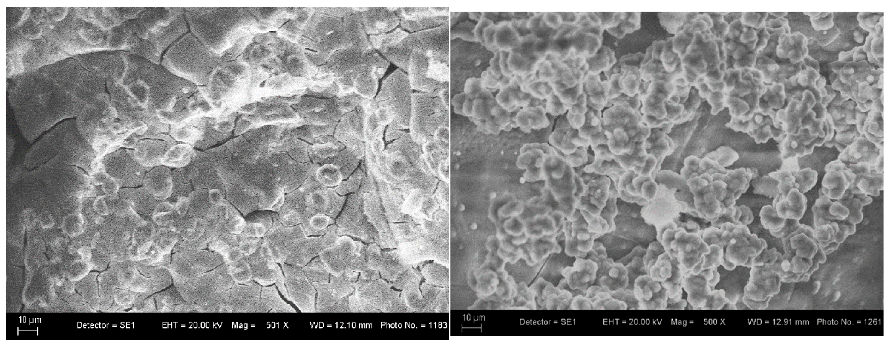 Materials 18 03059 g010