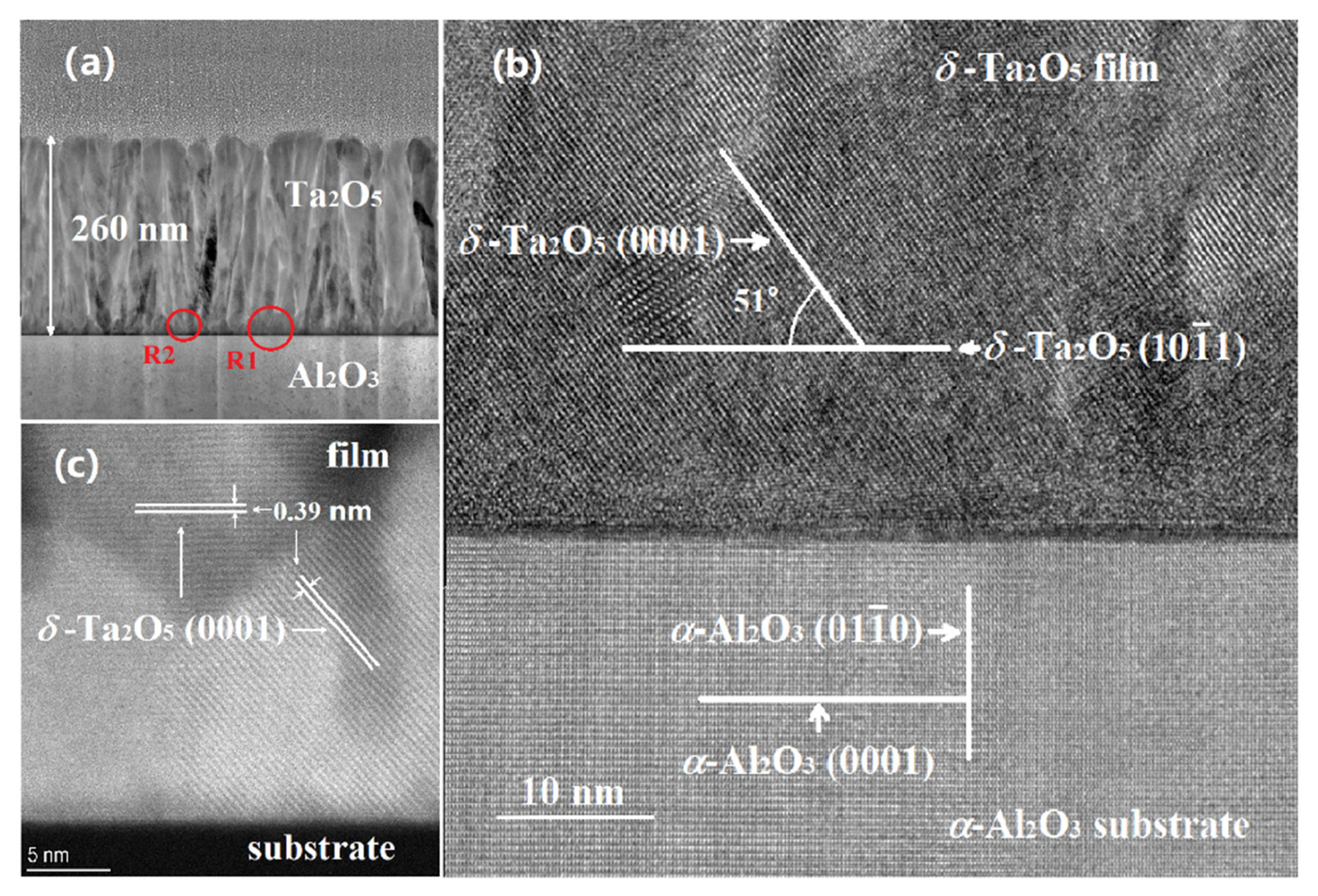 Materials 18 03073 g004