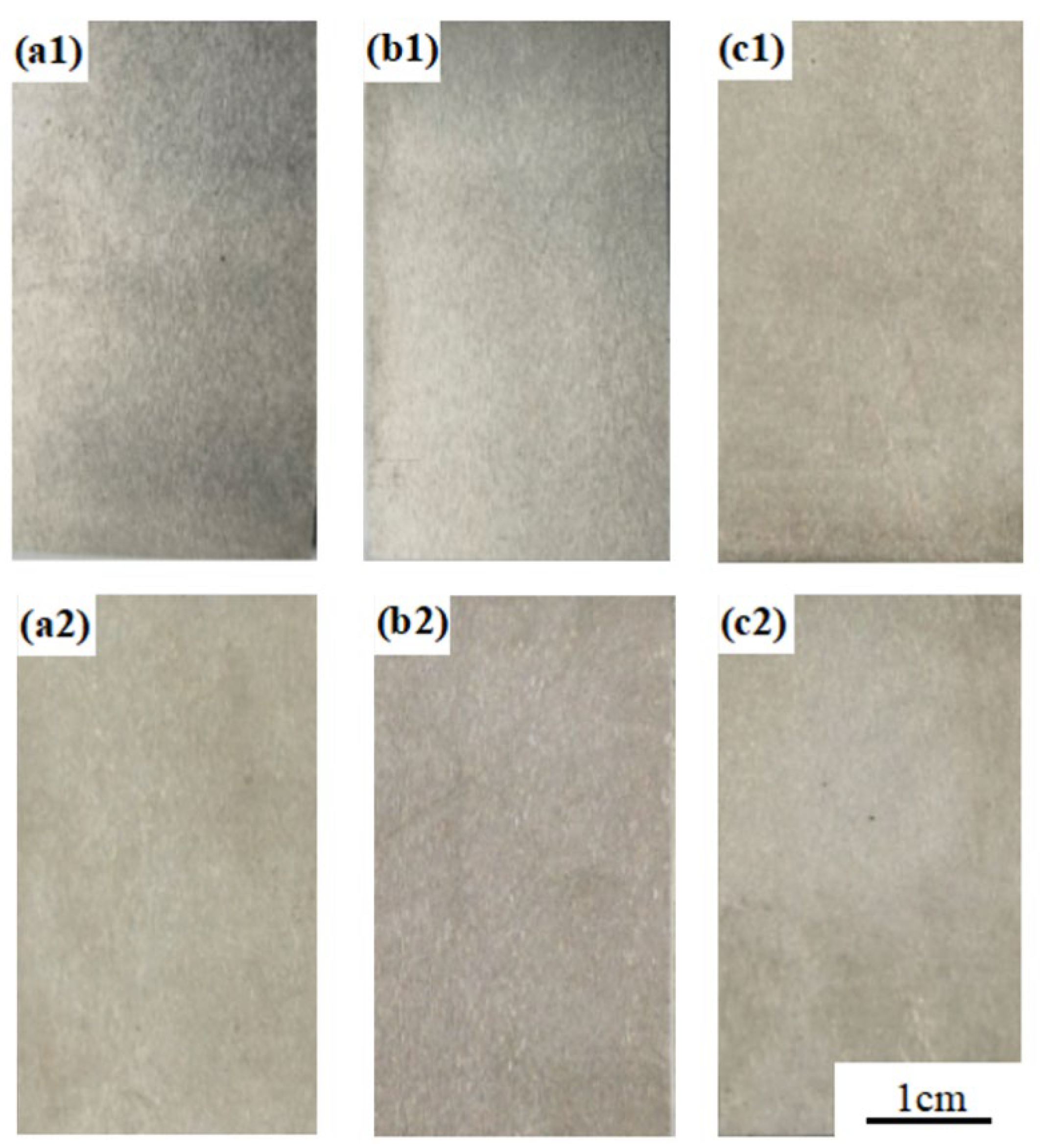 Materials 18 03074 g008