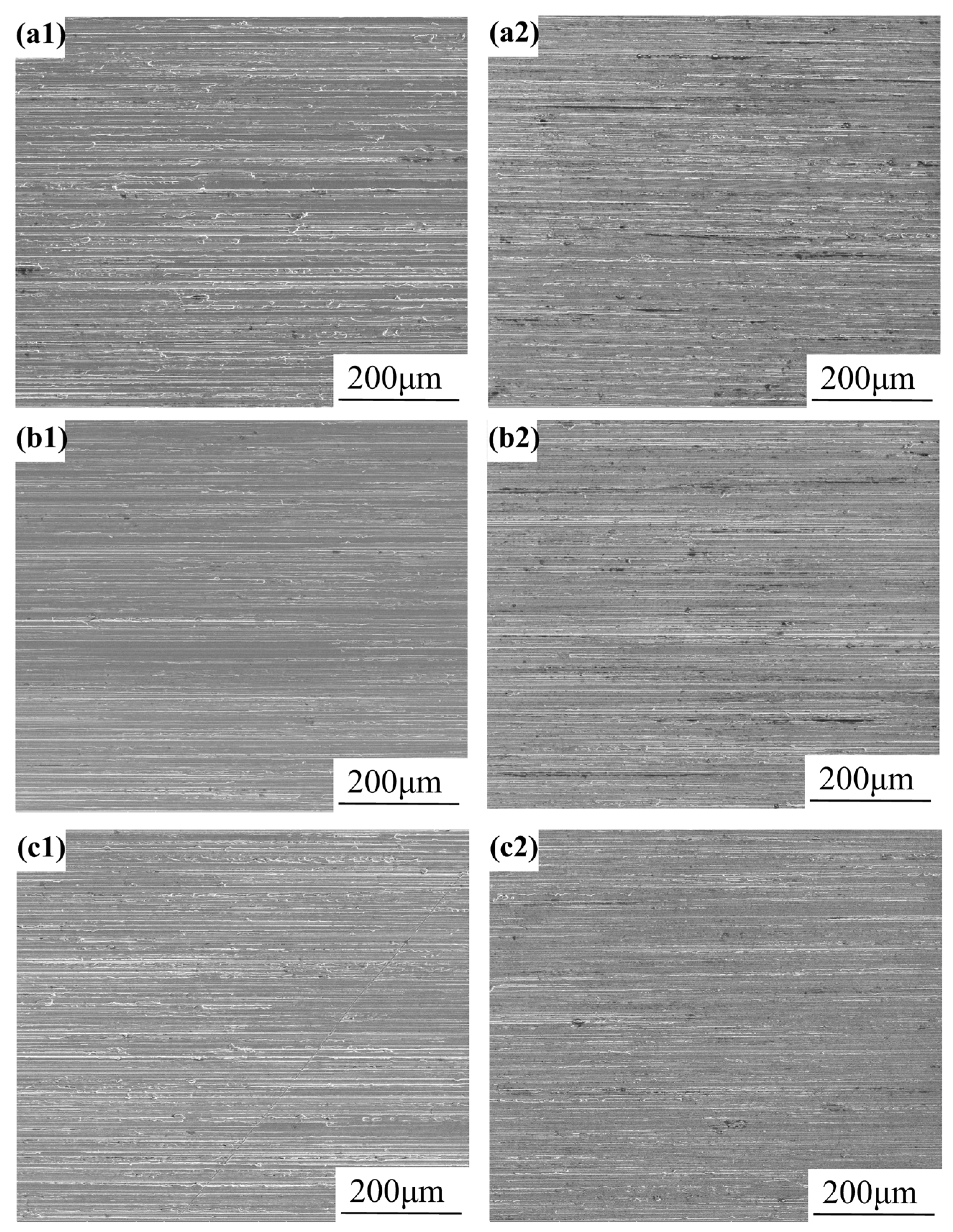 Materials 18 03074 g009