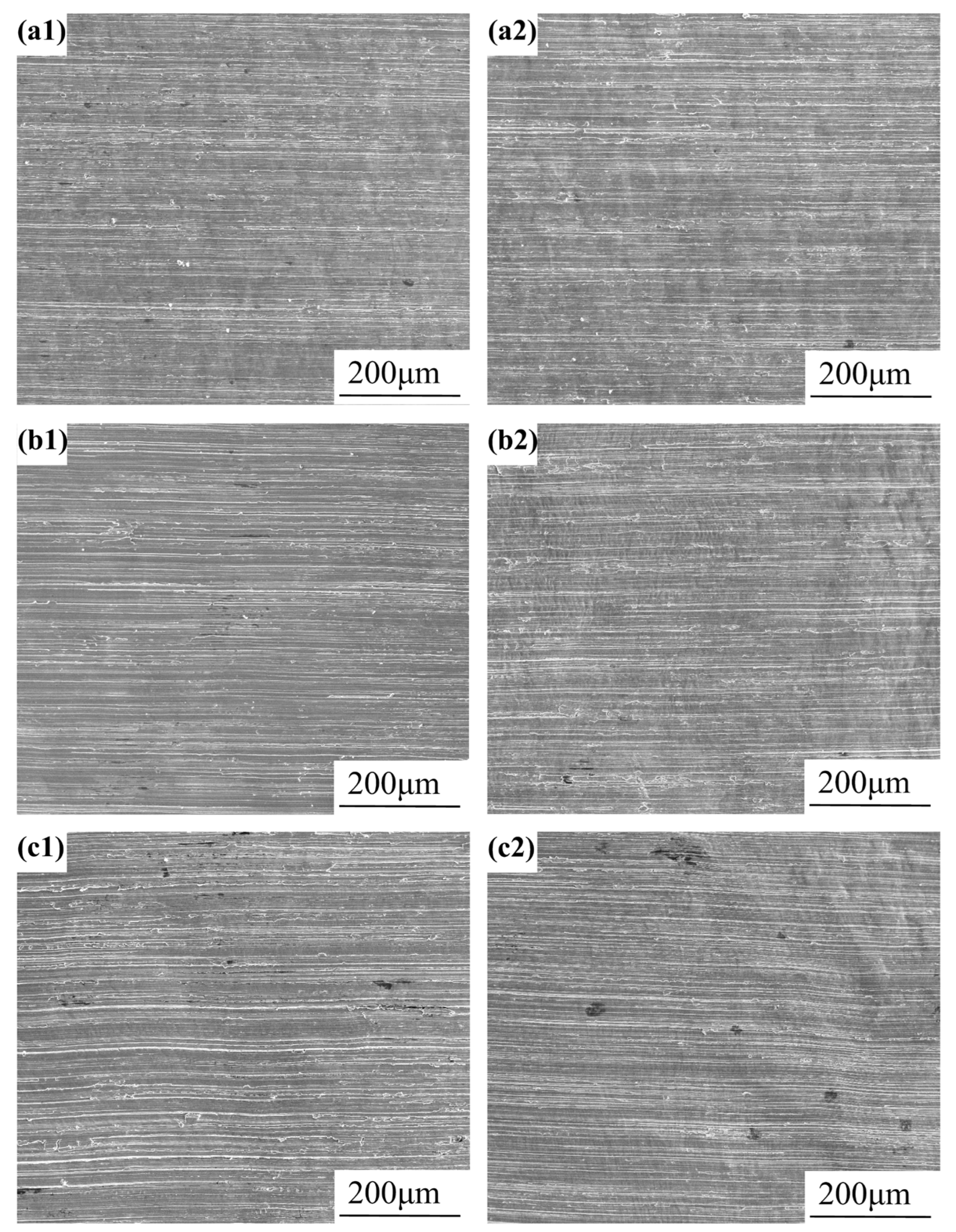 Materials 18 03074 g010