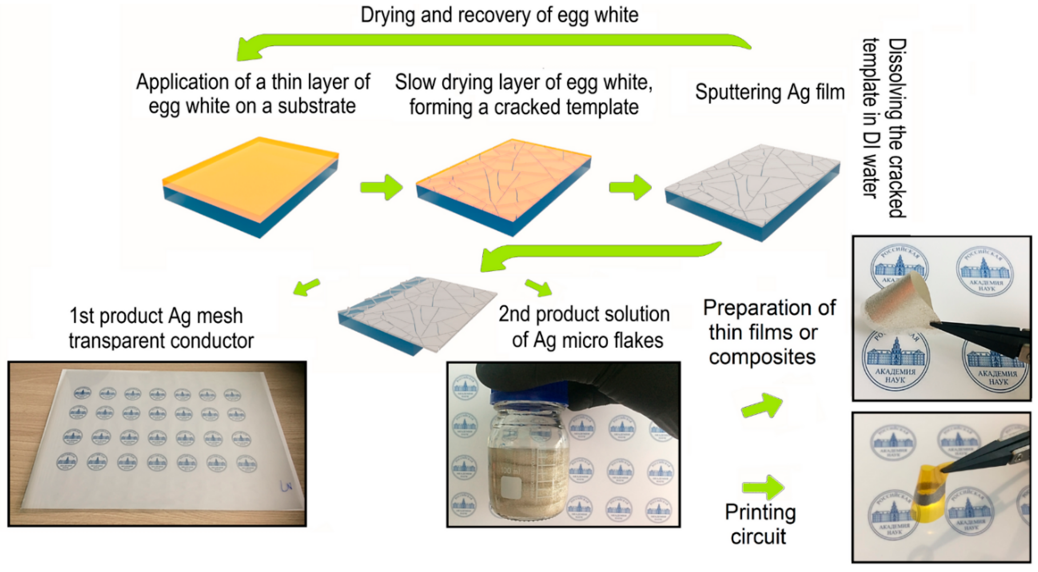 Materials 18 03091 g003