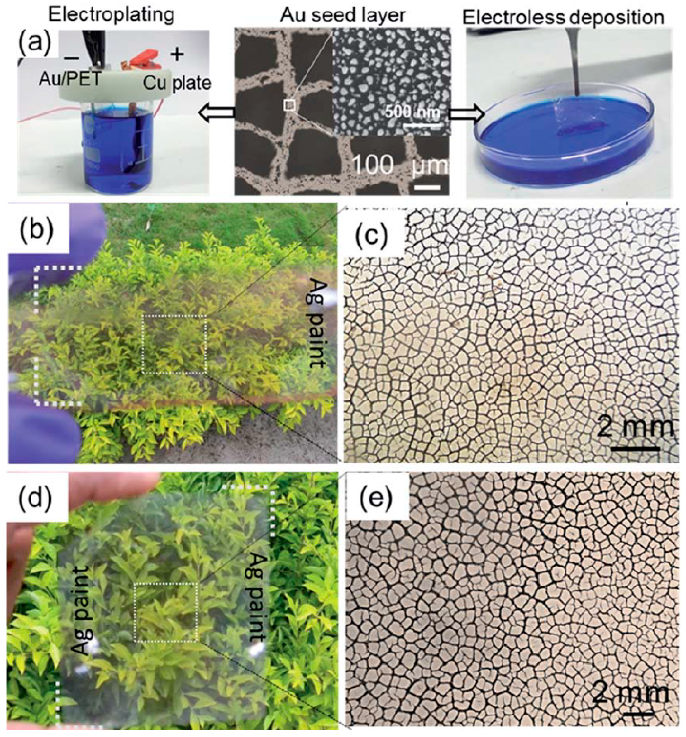 Materials 18 03091 g005