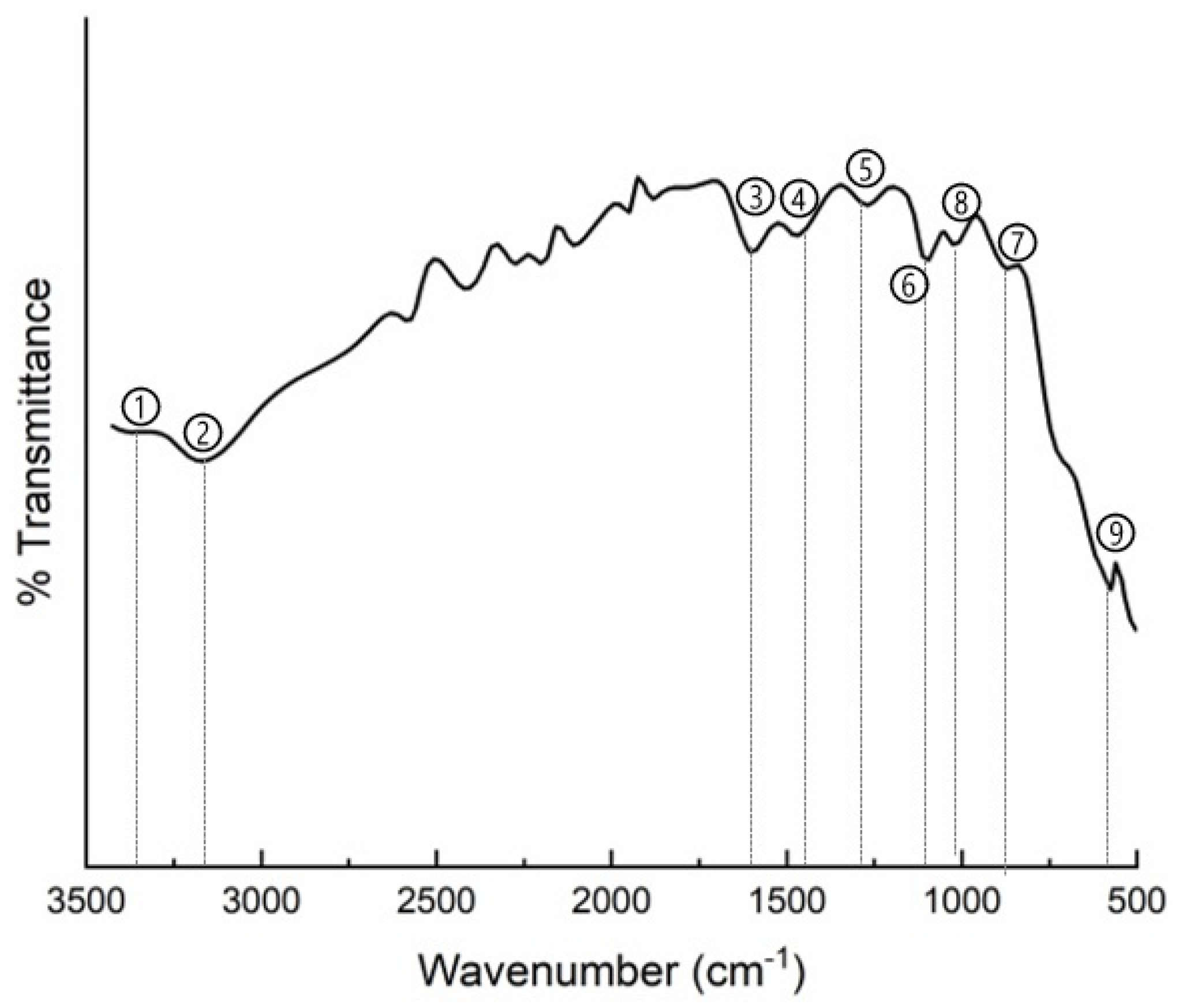 Materials 18 03095 g005