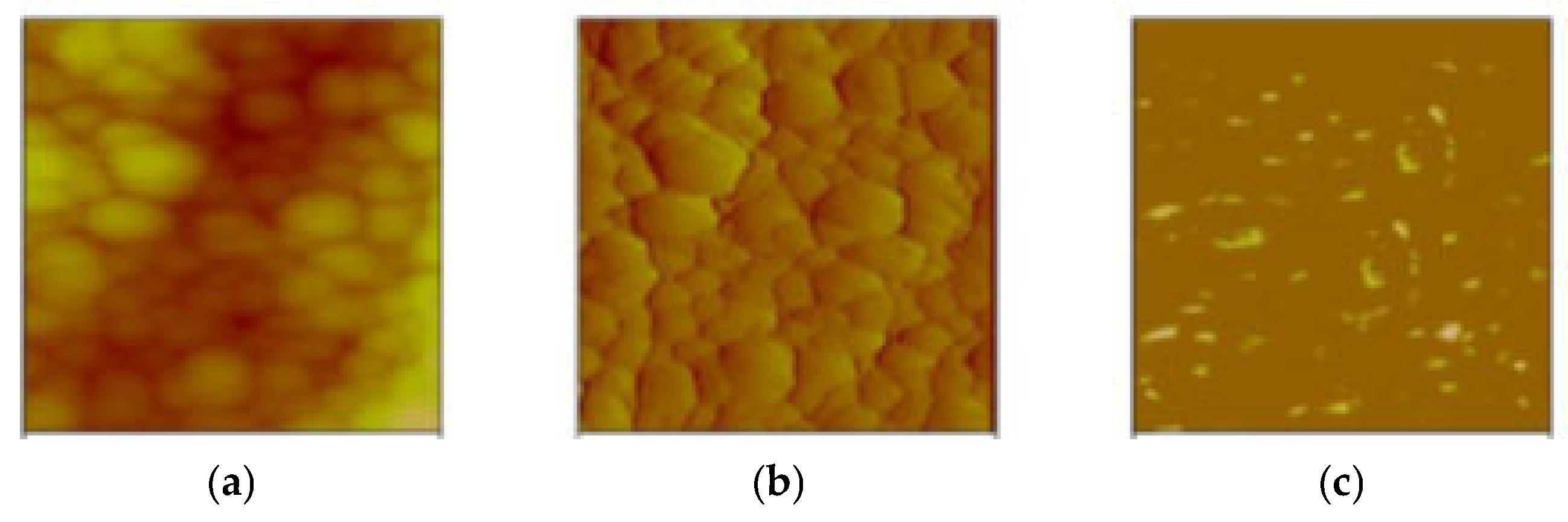 Materials 18 03095 g010