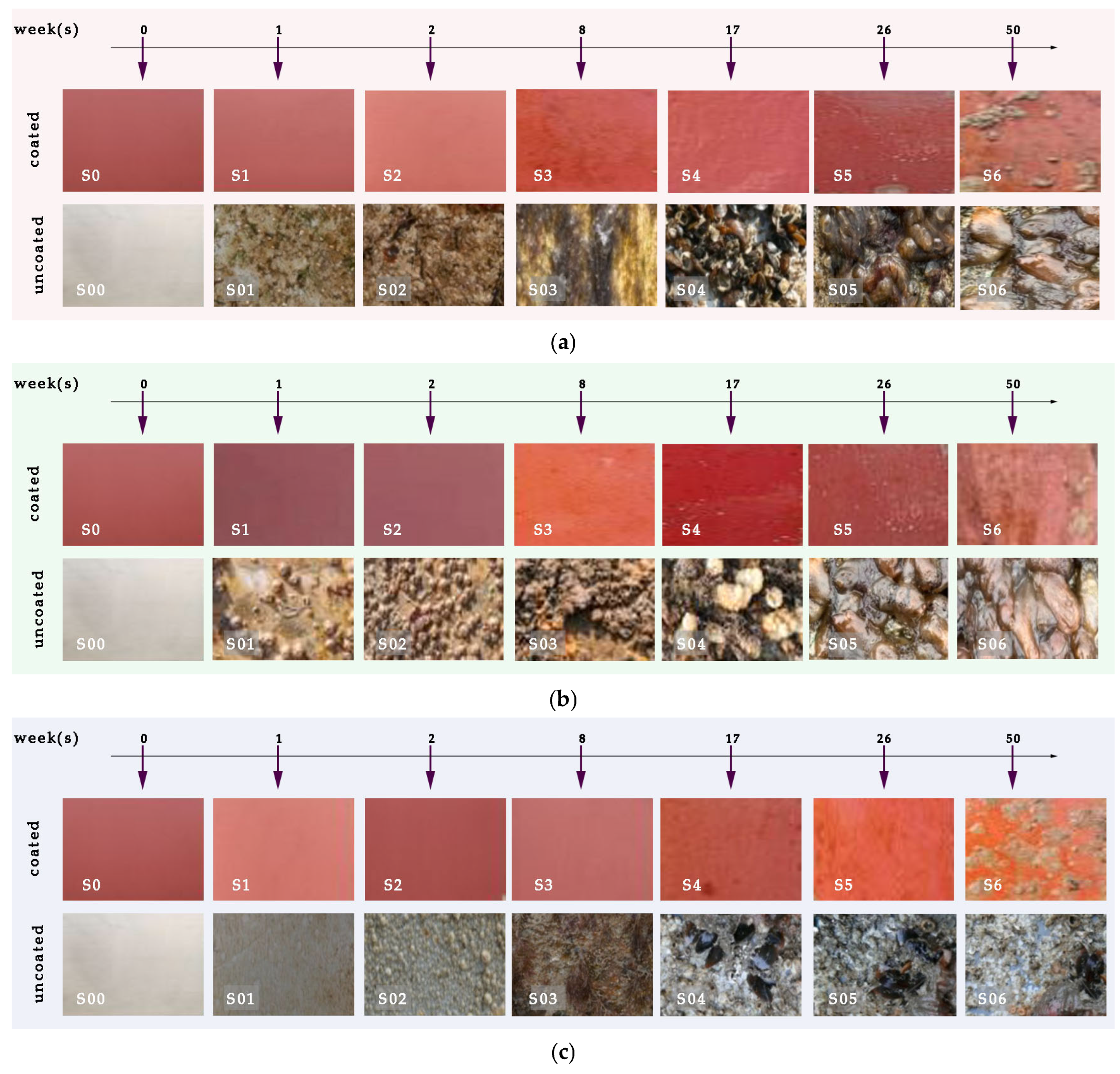 Materials 18 03095 g014