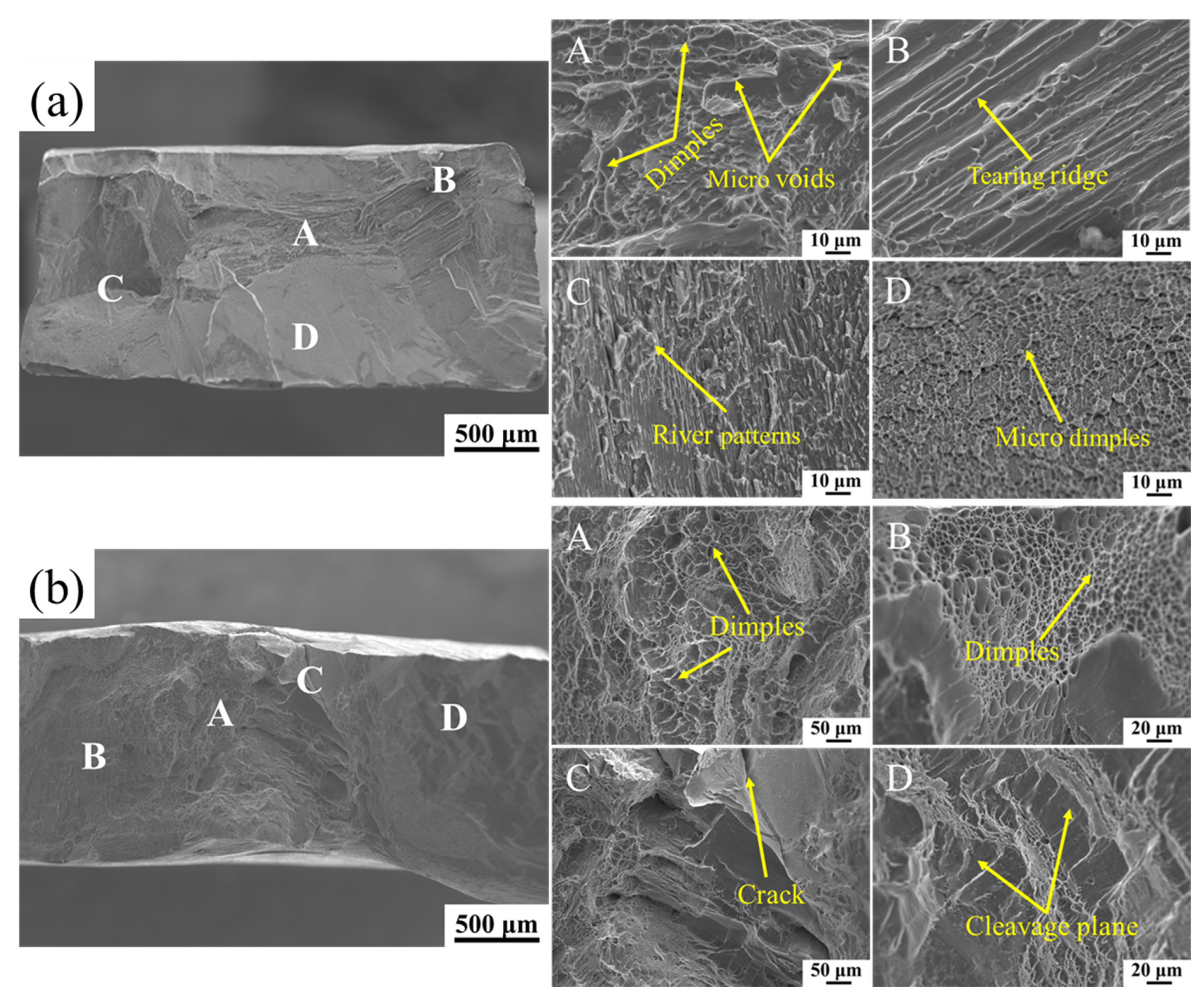 Materials 18 03099 g012