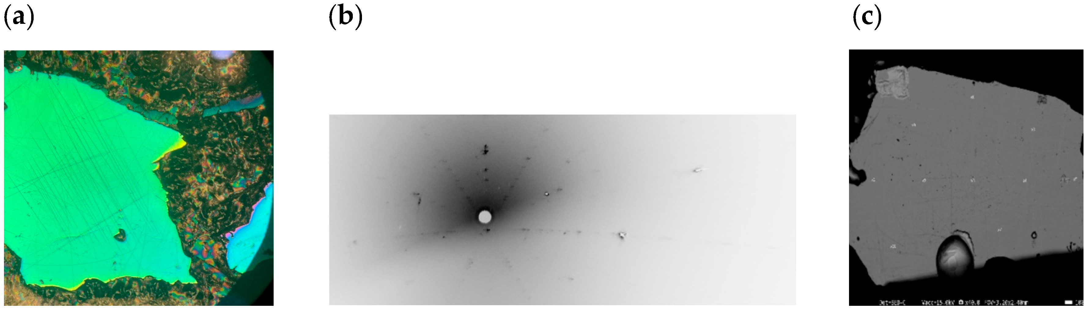 Materials 18 03103 g001