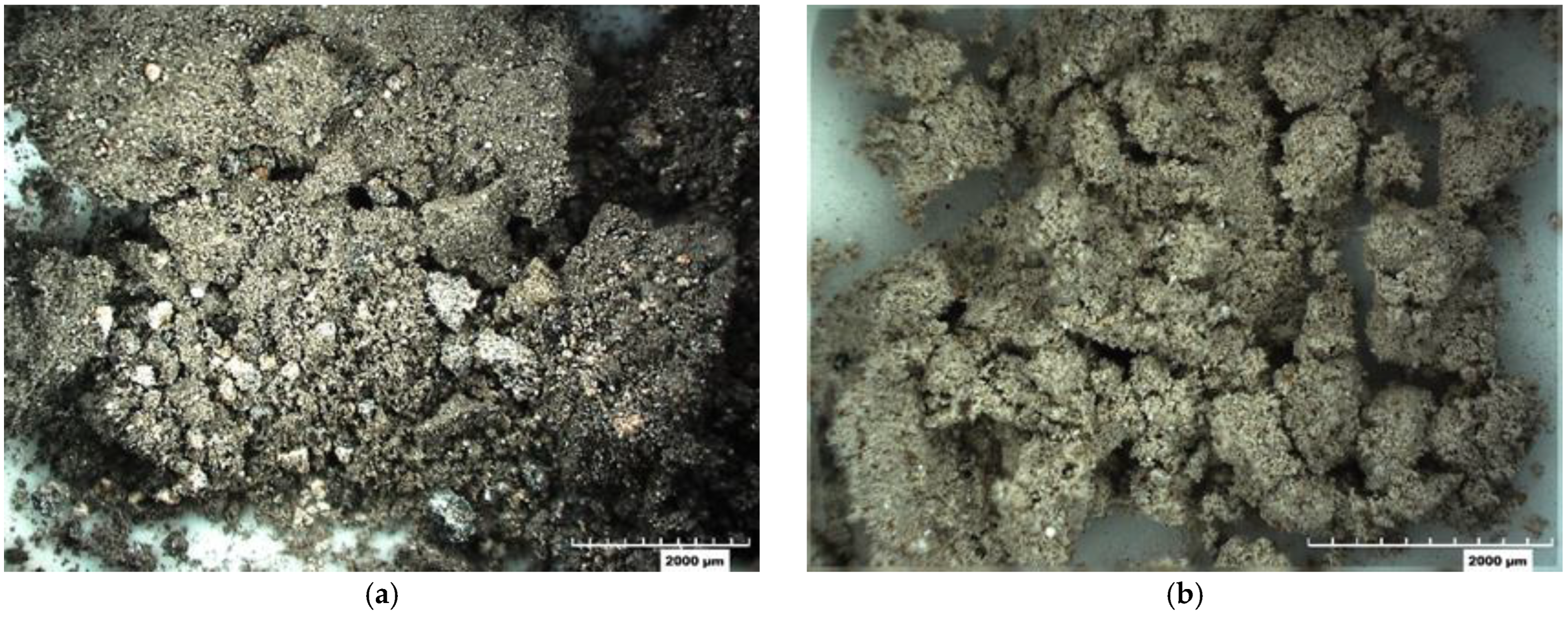 Materials 18 03105 g001