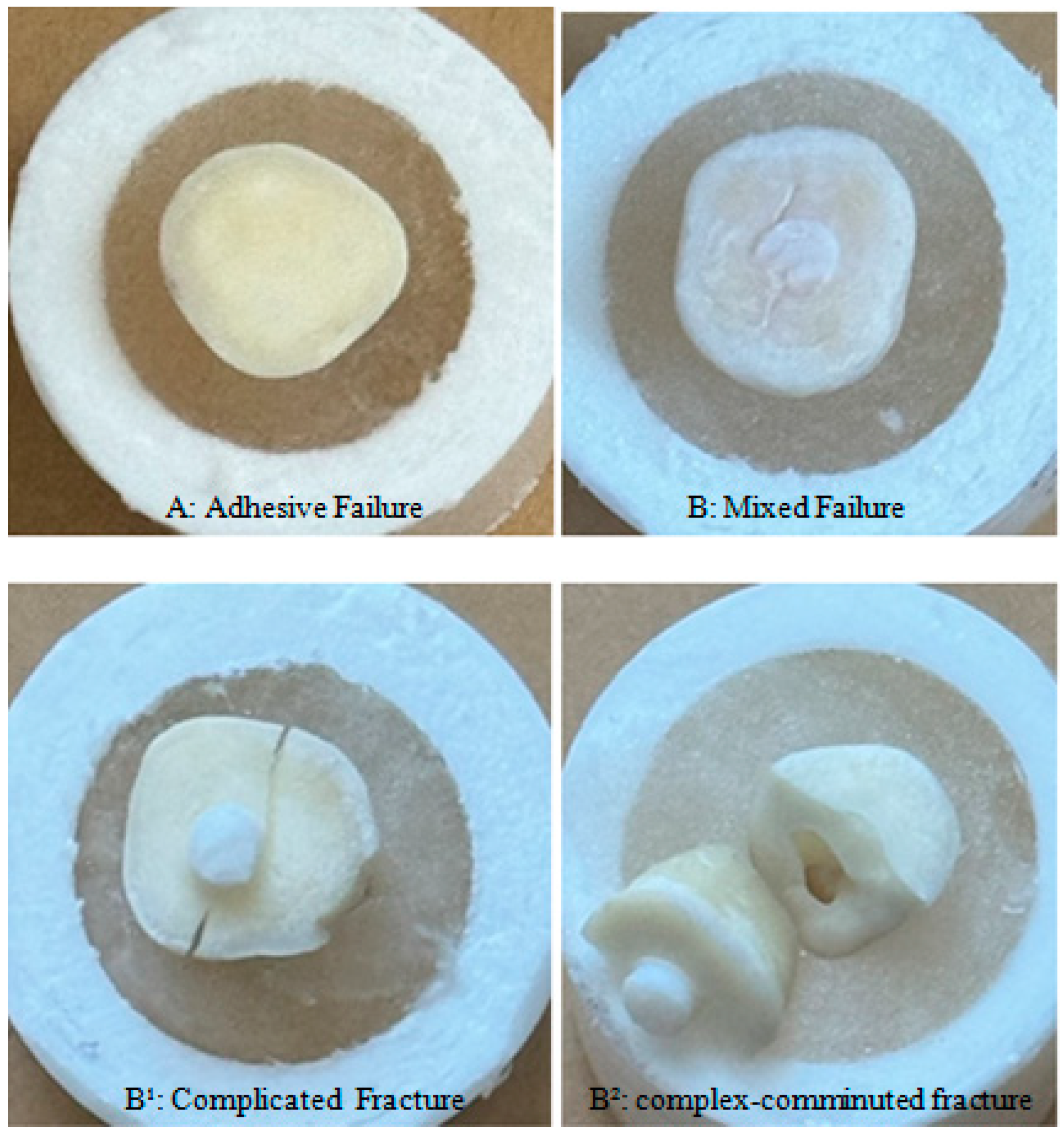 Materials 18 03107 g003