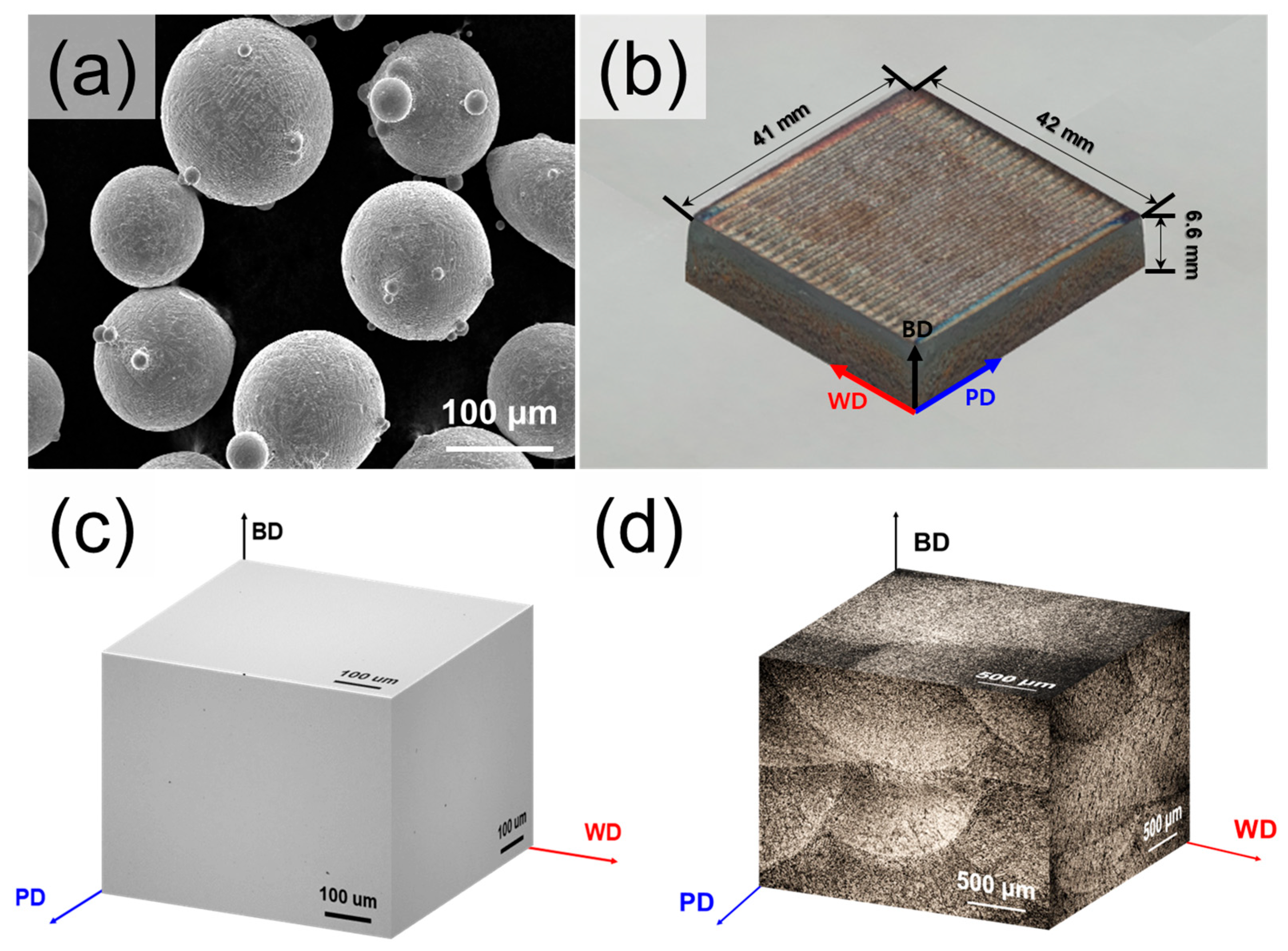 Materials 18 03113 g001