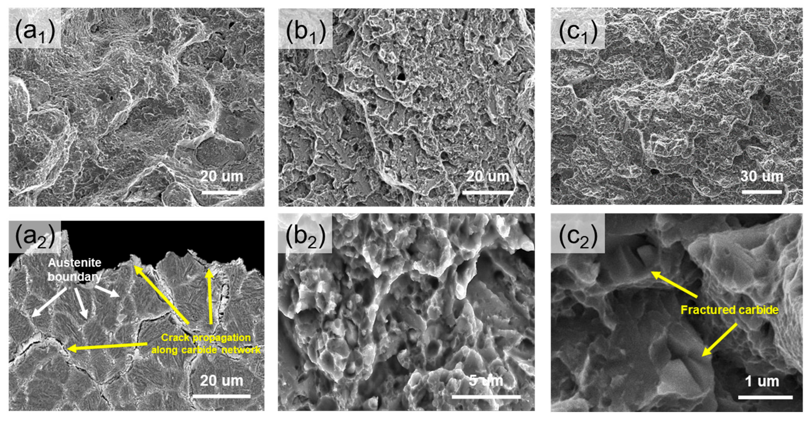 Materials 18 03113 g007