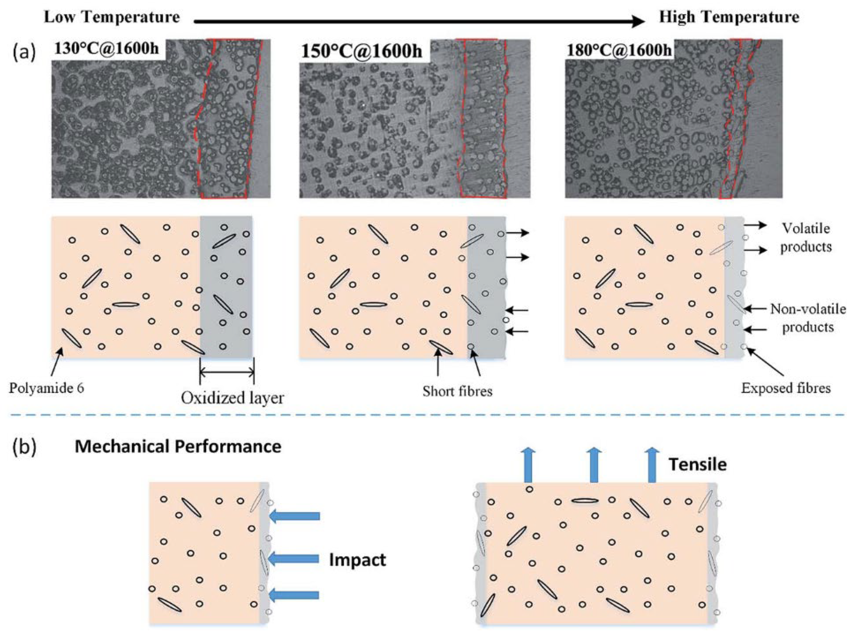 Materials 18 03127 g002