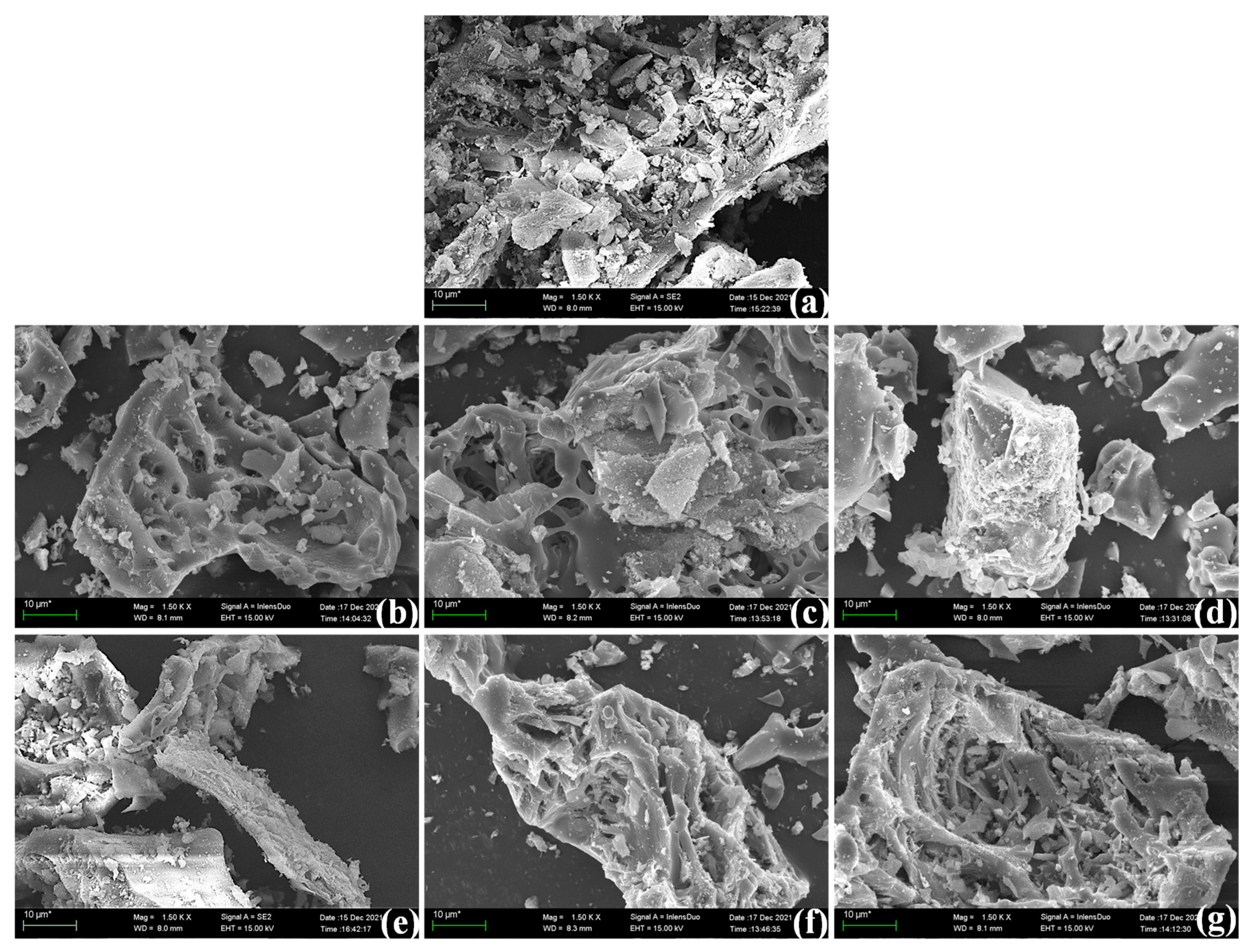 Materials 18 03129 g001