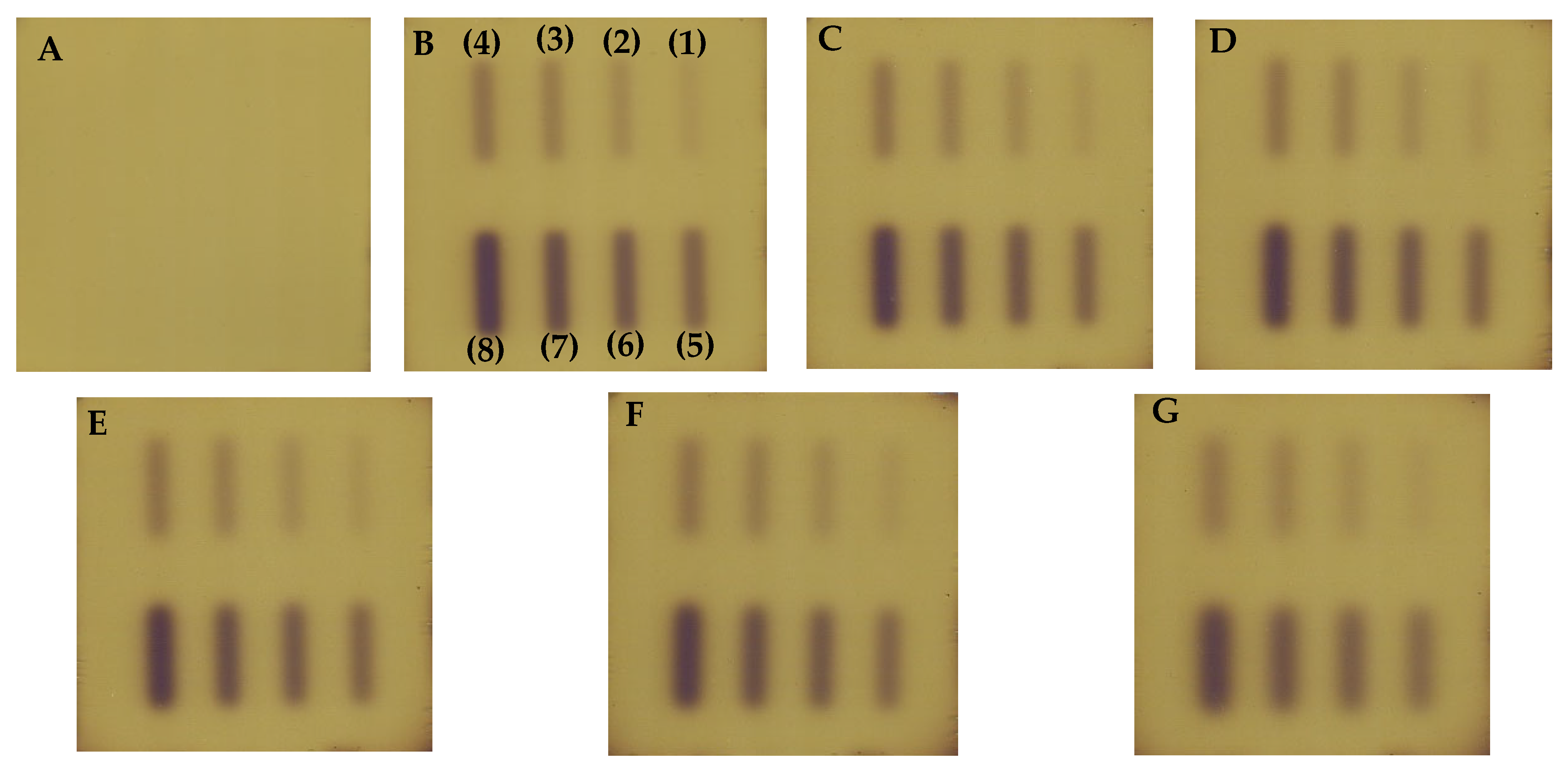 Materials 18 03135 g006