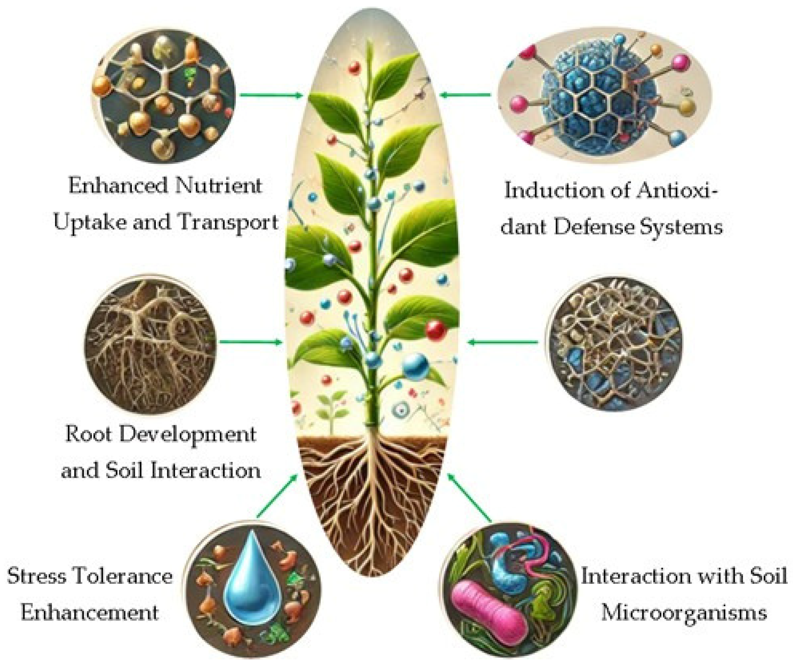 Materials 18 03142 g002