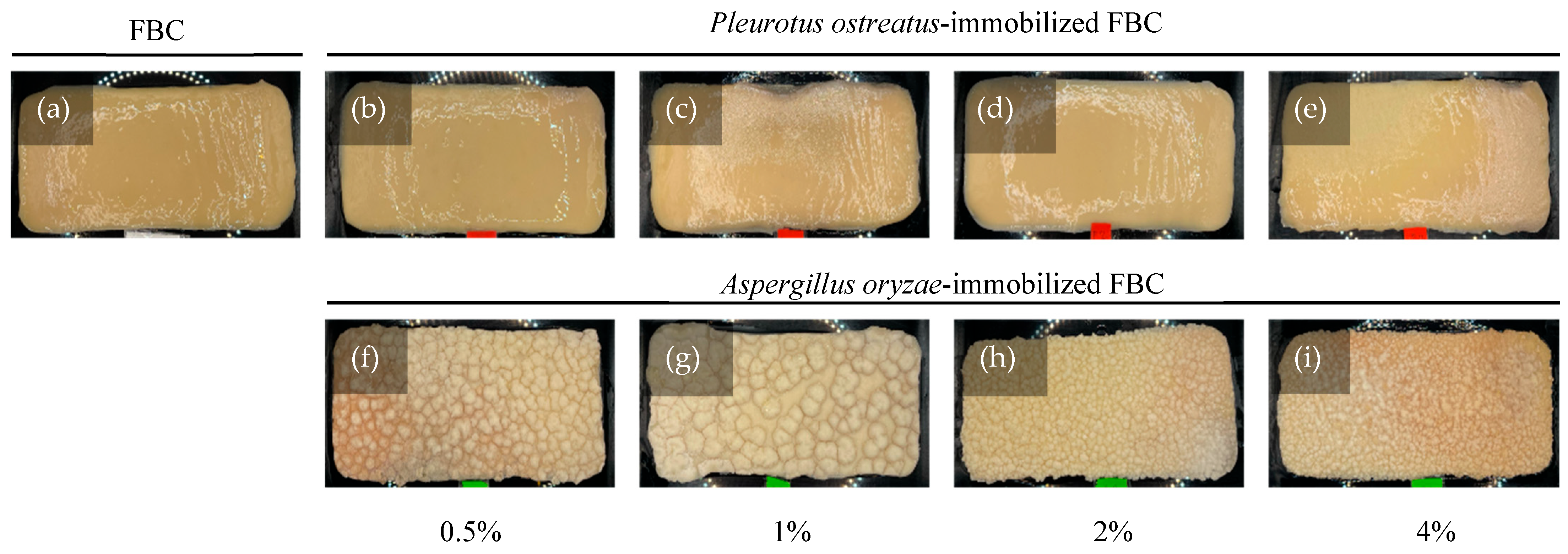 Materials 18 03151 g003