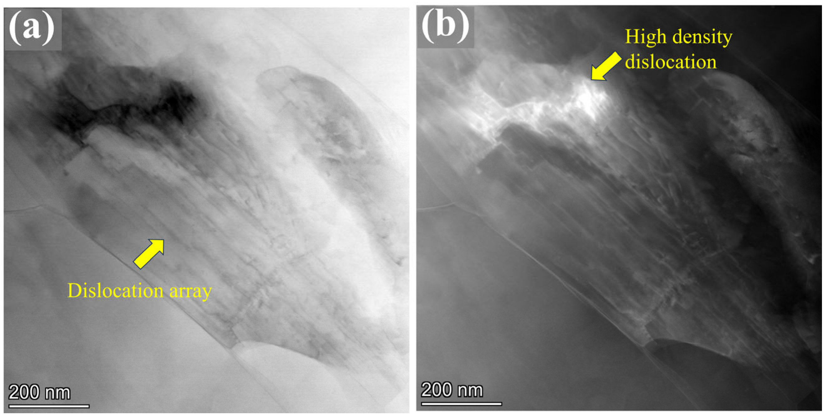 Materials 18 03199 g014