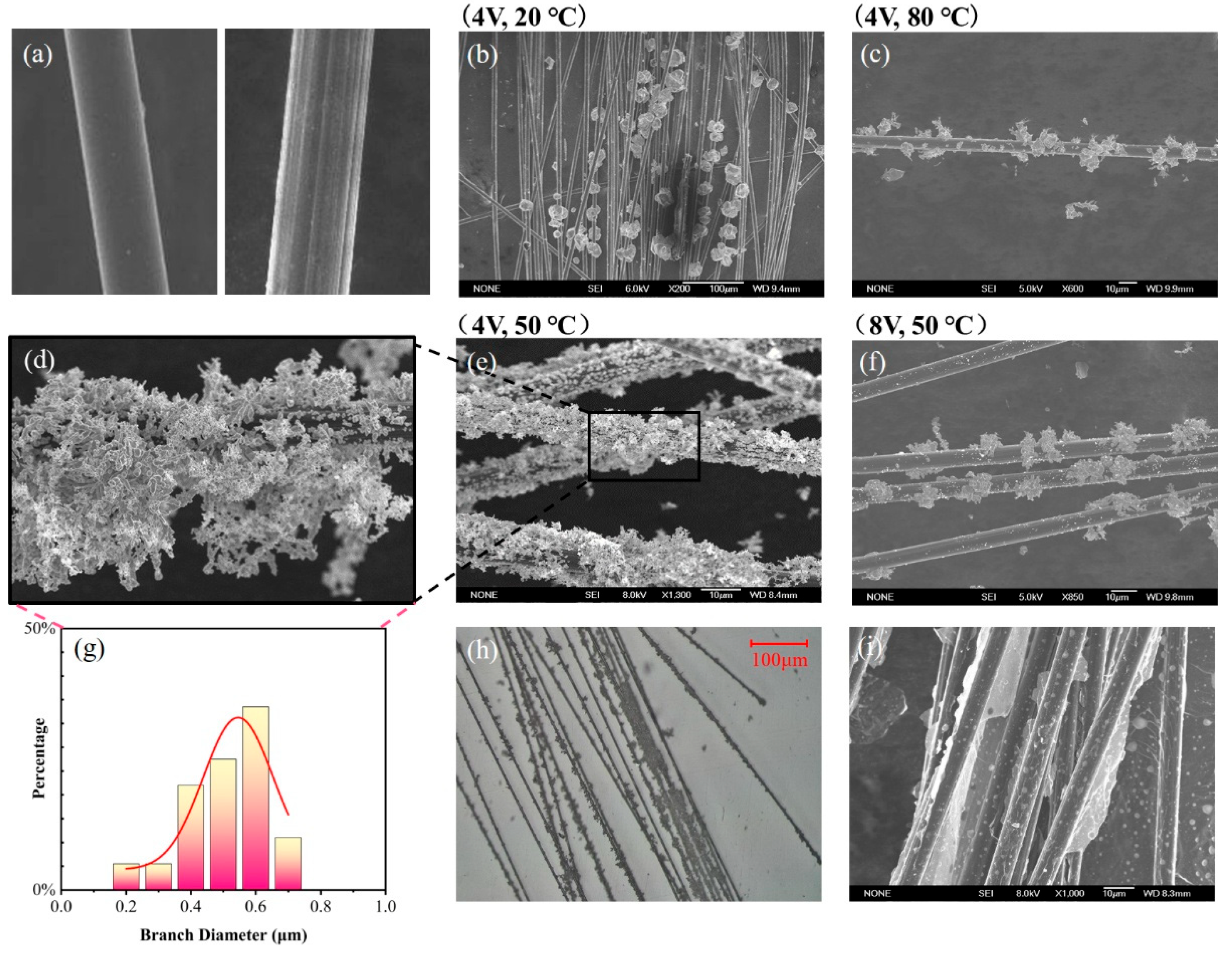Materials 18 03201 g005