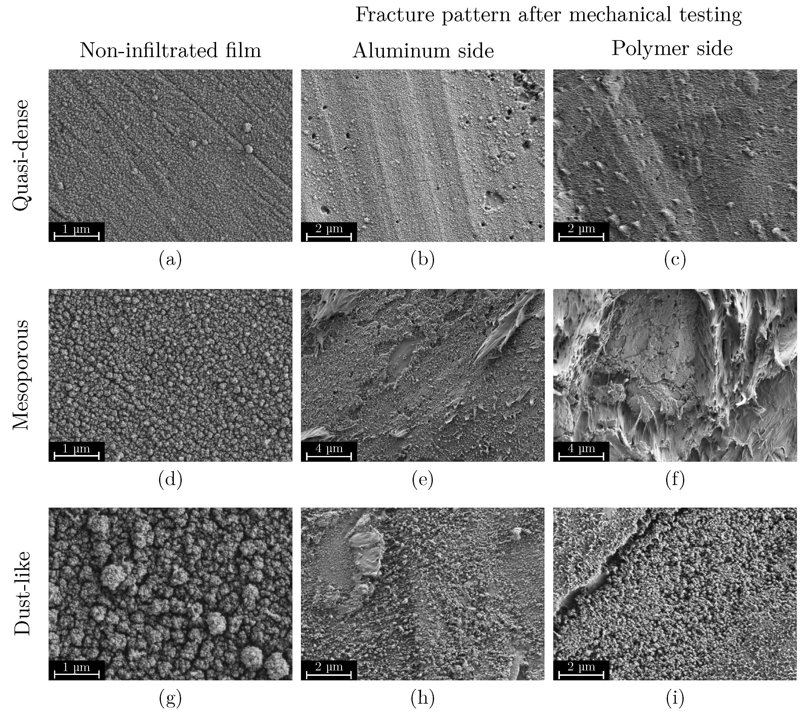 Materials 18 03205 g007