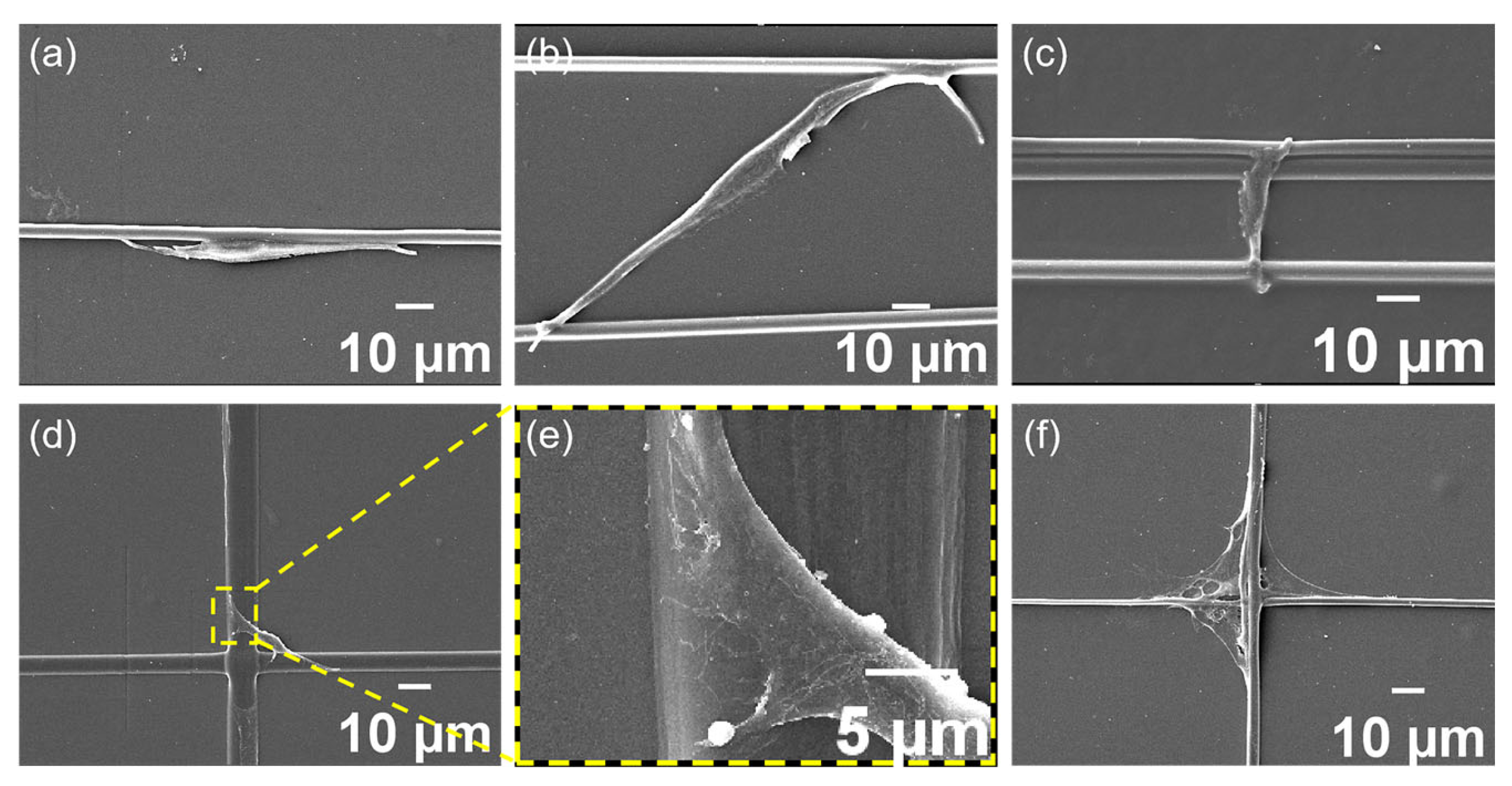 Materials 18 03224 g003