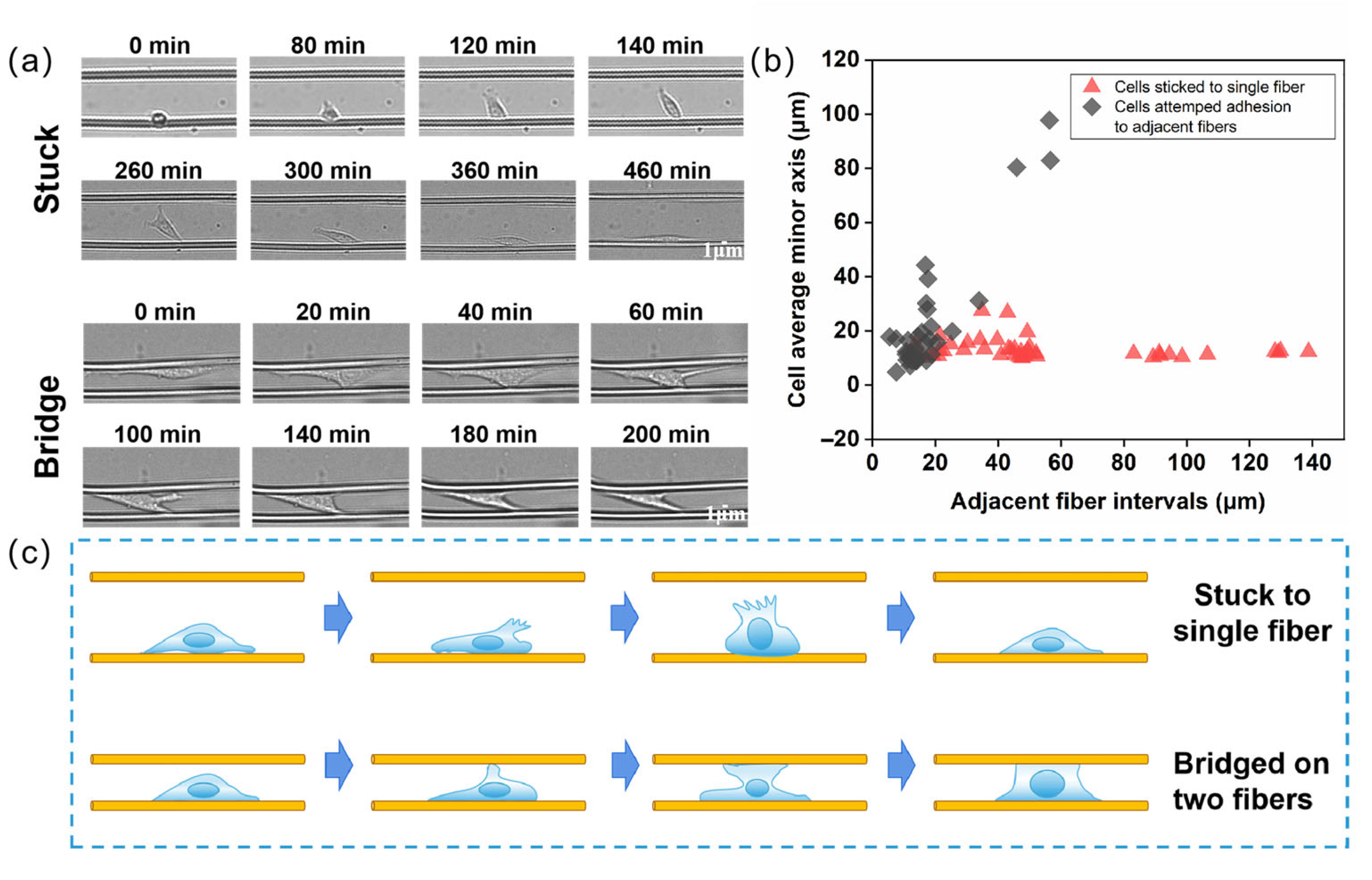 Materials 18 03224 g006