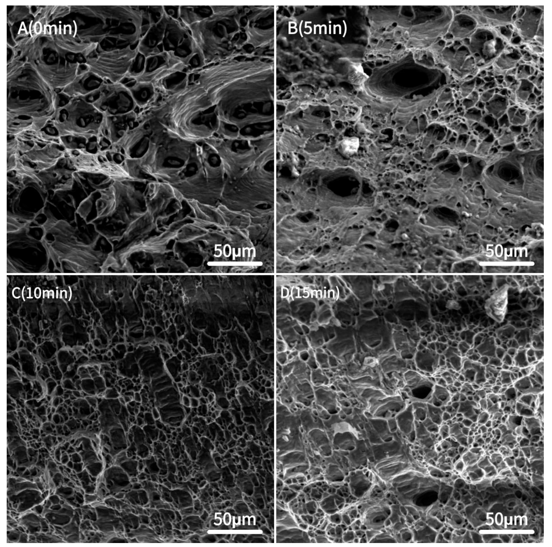 Materials 18 03228 g004