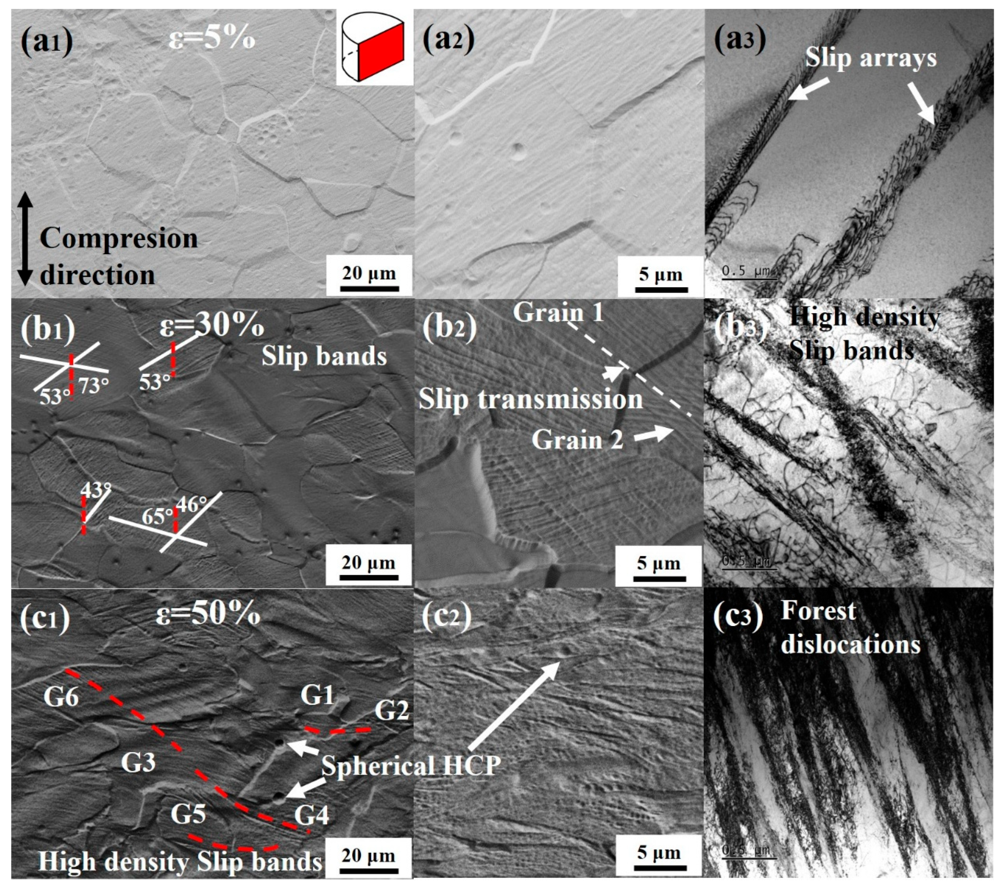 Materials 18 03245 g004