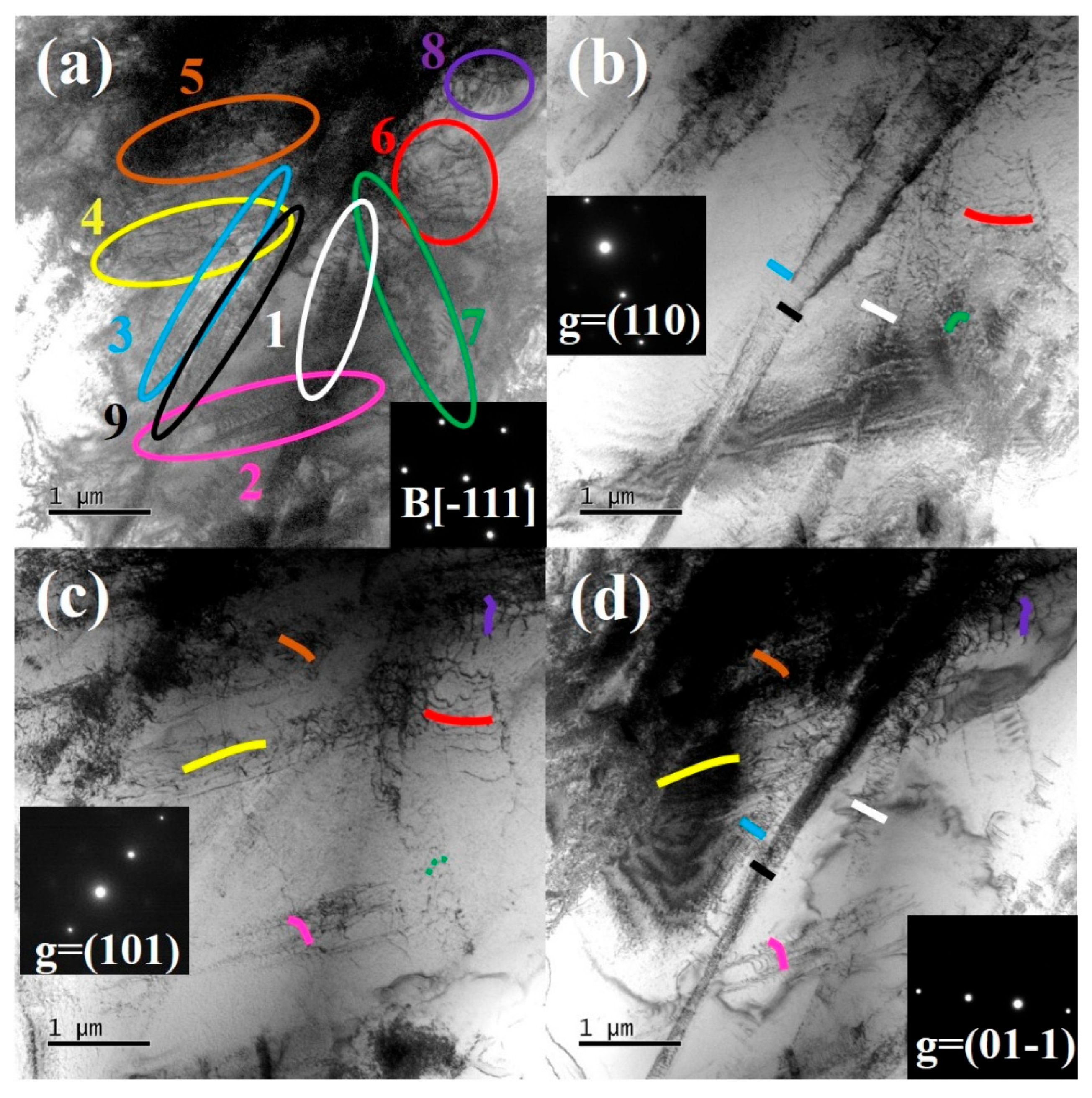 Materials 18 03245 g006