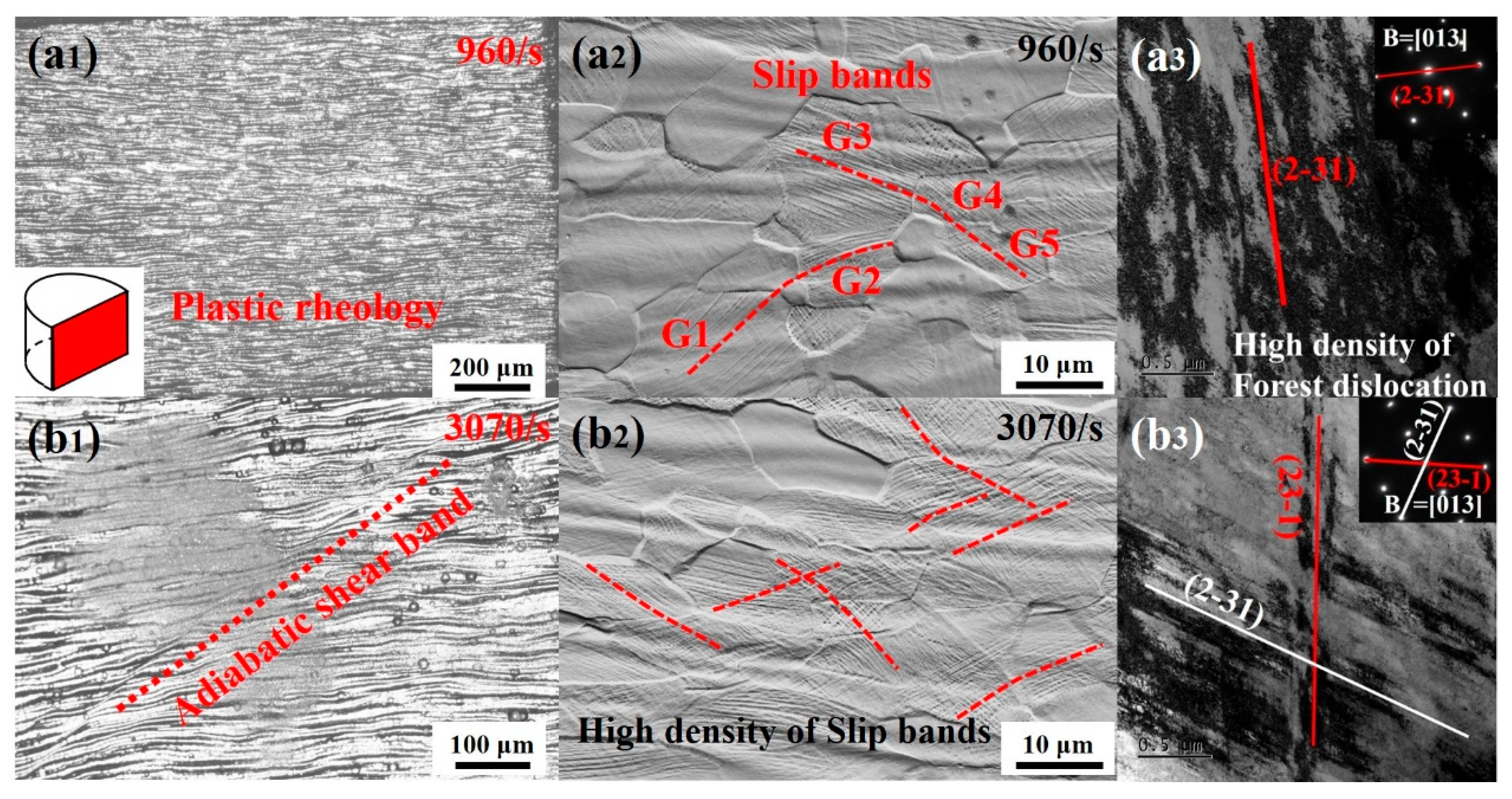 Materials 18 03245 g007