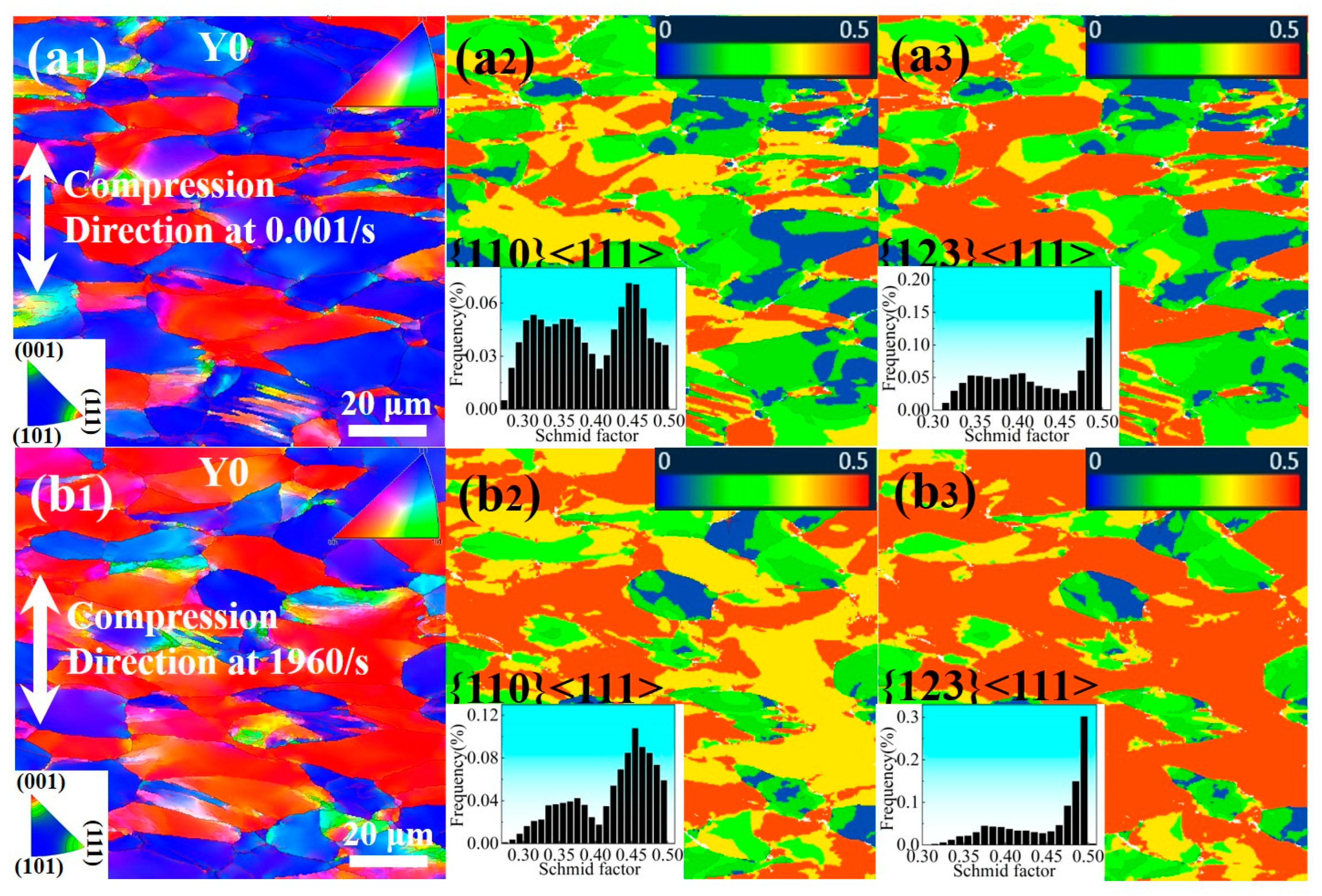 Materials 18 03245 g008