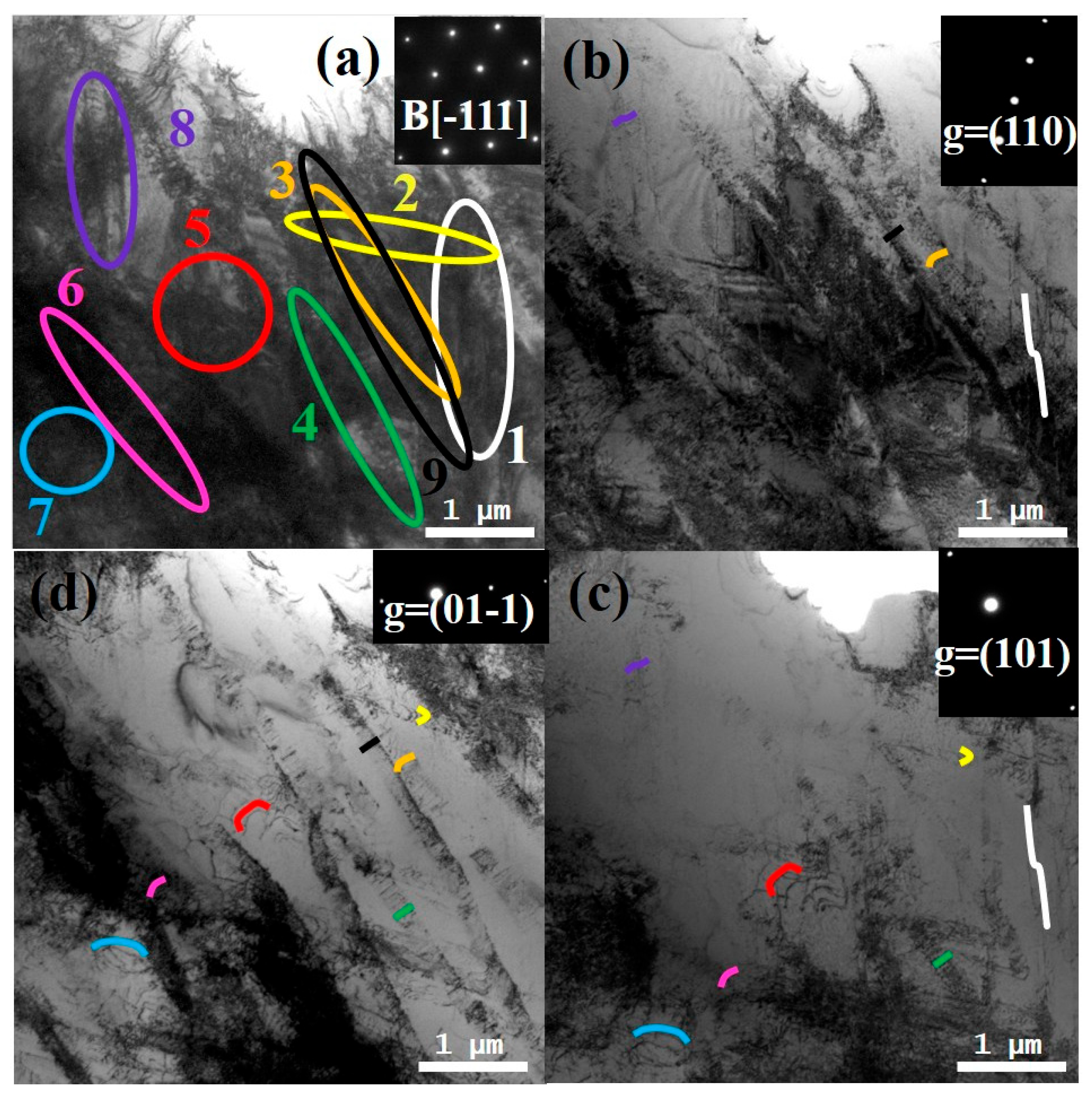 Materials 18 03245 g010
