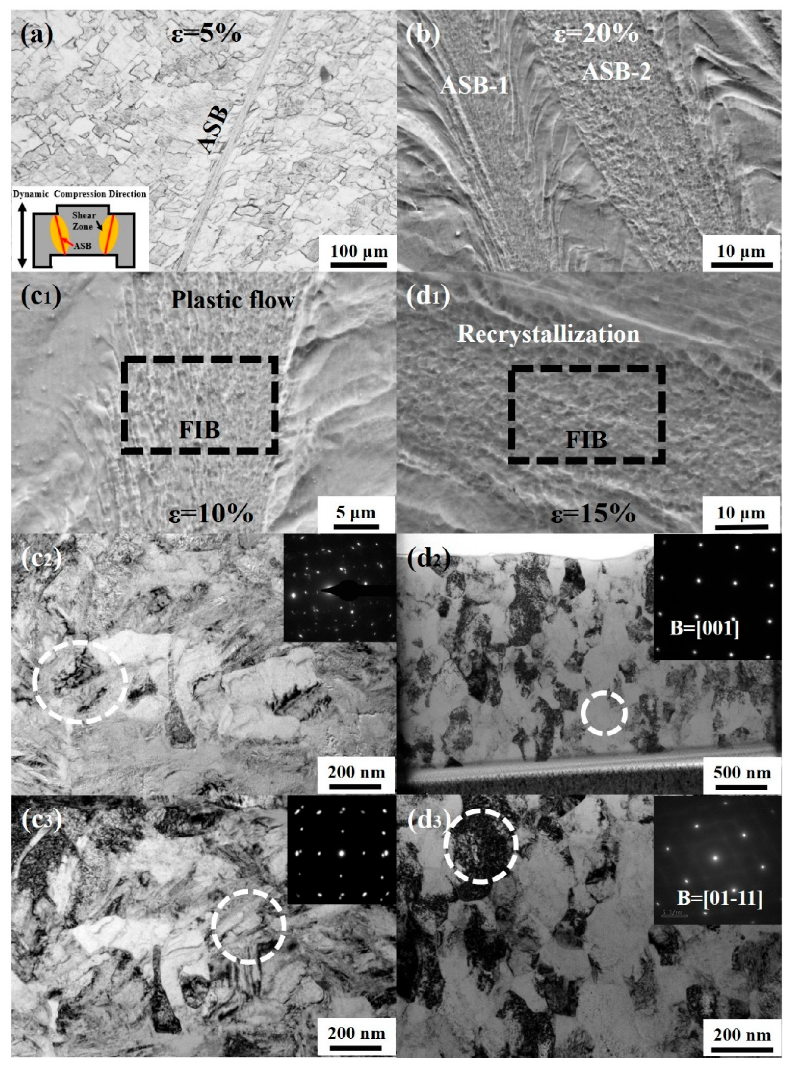 Materials 18 03245 g011