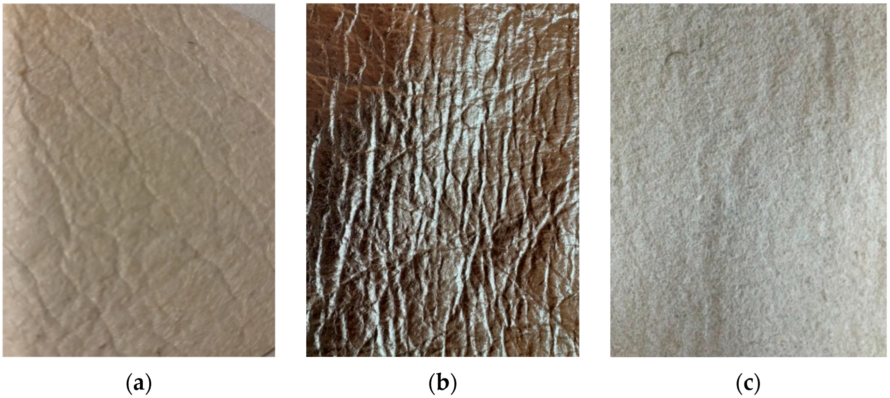 Materials 18 03249 g001